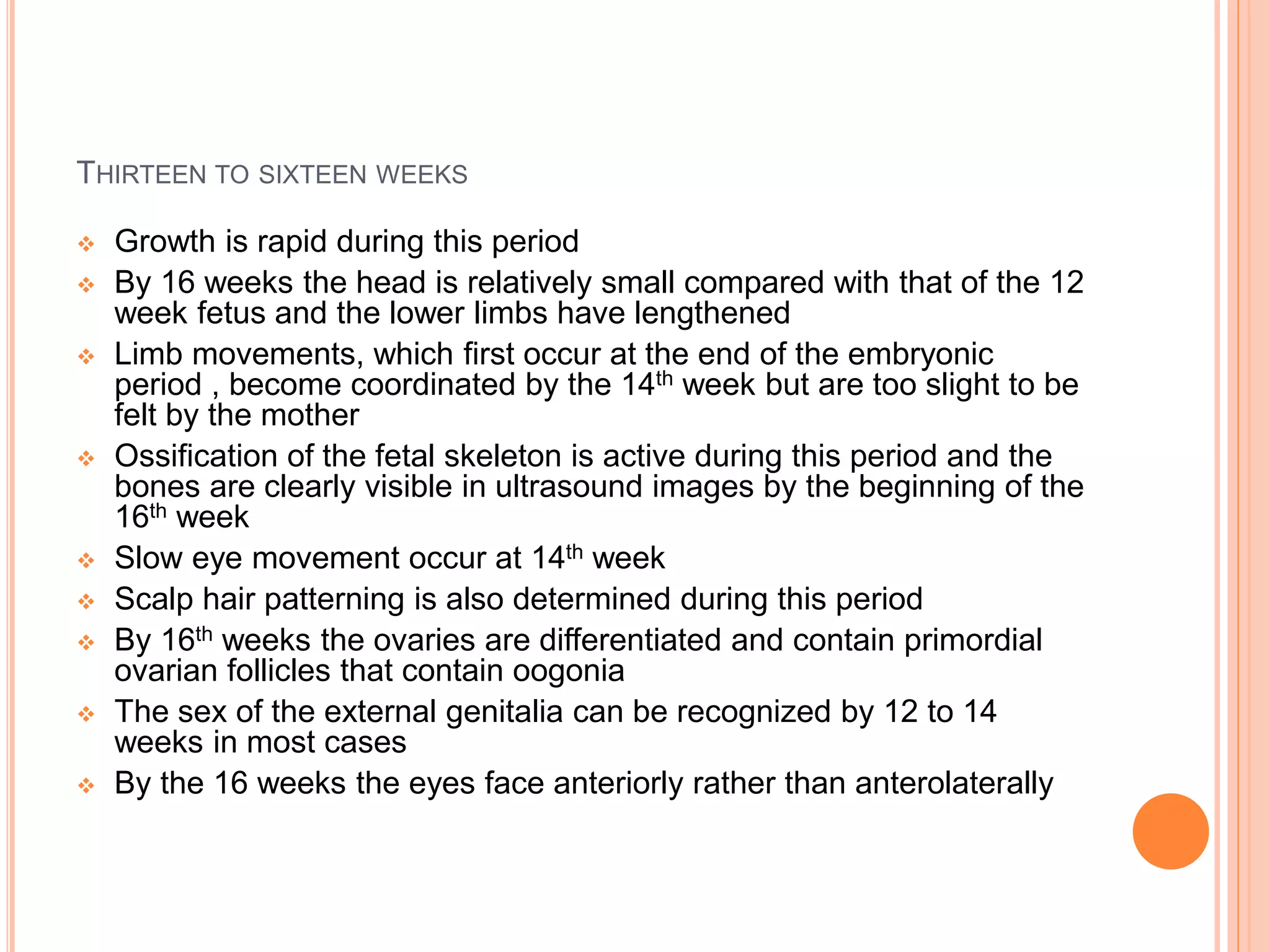 THIRTEEN TO SIXTEEN WEEKS
 Growth is rapid during this period
 By 16 weeks the head is relatively small compared with that of the 12
week fetus and the lower limbs have lengthened
 Limb movements, which first occur at the end of the embryonic
period , become coordinated by the 14th week but are too slight to be
felt by the mother
 Ossification of the fetal skeleton is active during this period and the
bones are clearly visible in ultrasound images by the beginning of the
16th week
 Slow eye movement occur at 14th week
 Scalp hair patterning is also determined during this period
 By 16th weeks the ovaries are differentiated and contain primordial
ovarian follicles that contain oogonia
 The sex of the external genitalia can be recognized by 12 to 14
weeks in most cases
 By the 16 weeks the eyes face anteriorly rather than anterolaterally
 