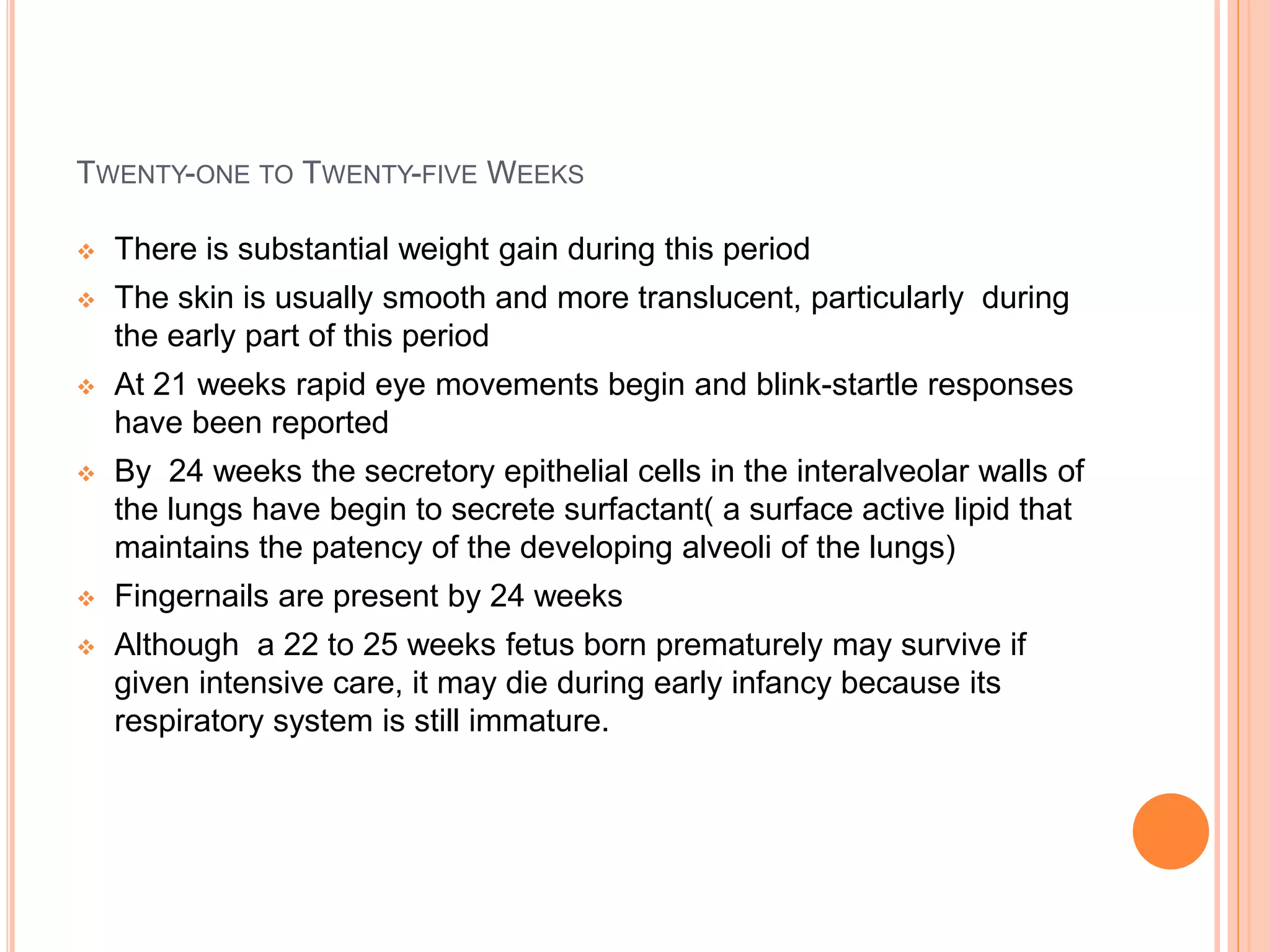 TWENTY-ONE TO TWENTY-FIVE WEEKS
 There is substantial weight gain during this period
 The skin is usually smooth and more translucent, particularly during
the early part of this period
 At 21 weeks rapid eye movements begin and blink-startle responses
have been reported
 By 24 weeks the secretory epithelial cells in the interalveolar walls of
the lungs have begin to secrete surfactant( a surface active lipid that
maintains the patency of the developing alveoli of the lungs)
 Fingernails are present by 24 weeks
 Although a 22 to 25 weeks fetus born prematurely may survive if
given intensive care, it may die during early infancy because its
respiratory system is still immature.
 