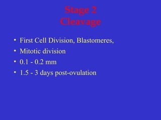 Stage 2
Cleavage
• First Cell Division, Blastomeres,
• Mitotic division
• 0.1 - 0.2 mm
• 1.5 - 3 days post-ovulation
 
