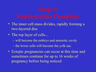 Stage 5
Implantation Complete
• The inner cell mass divides, rapidly forming a
two-layered disc
• The top layer of cells...
– will become the embryo and amniotic cavity
– the lower cells will become the yolk sac.
• Ectopic pregnancies can occur at this time and
sometimes continue for up to 16 weeks of
pregnancy before being noticed
 