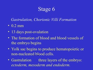 Stage 6
Gastrulation, Chorionic Villi Formation
• 0.2 mm
• 13 days post-ovulation
• The formation of blood and blood vessels of
the embryo begins
• Yolk sac begins to produce hematopoietic or
non-nucleated blood cells.
• Gastrulation three layers of the embryo:
ectoderm, mesoderm and endoderm.
 