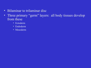 • Bilaminar to trilaminar disc
• Three primary “germ” layers: all body tissues develop
from these
• Ectoderm
• Endoderm
• Mesoderm
 