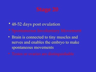 Stage 20
• 48-52 days post ovulation
• Spontaneous Involuntary Movement
• Brain is connected to tiny muscles and
nerves and enables the embryo to make
spontaneous movements
• Testes or ovaries are distinguishable
 