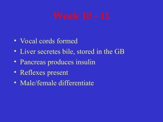 Week 10 - 11
• Vocal cords formed
• Liver secretes bile, stored in the GB
• Pancreas produces insulin
• Reflexes present
• Male/female differentiate
 
