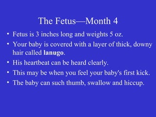 The Fetus—Month 4
• Fetus is 3 inches long and weights 5 oz.
• Your baby is covered with a layer of thick, downy
hair called lanugo.
• His heartbeat can be heard clearly.
• This may be when you feel your baby's first kick.
• The baby can such thumb, swallow and hiccup.
 