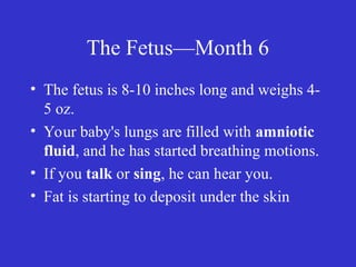 The Fetus—Month 6
• The fetus is 8-10 inches long and weighs 4-
5 oz.
• Your baby's lungs are filled with amniotic
fluid, and he has started breathing motions.
• If you talk or sing, he can hear you.
• Fat is starting to deposit under the skin
 