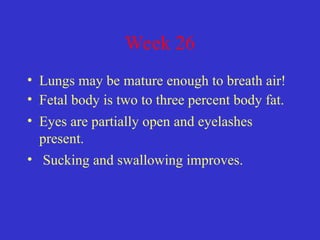 Week 26
• Lungs may be mature enough to breath air!
• Fetal body is two to three percent body fat.
• Eyes are partially open and eyelashes
present.
• Sucking and swallowing improves.
 