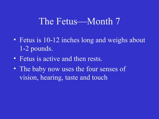 The Fetus—Month 7
• Fetus is 10-12 inches long and weighs about
1-2 pounds.
• Fetus is active and then rests.
• The baby now uses the four senses of
vision, hearing, taste and touch
 