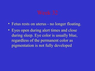 Week 32
• Fetus rests on uterus - no longer floating.
• Eyes open during alert times and close
during sleep. Eye color is usually blue,
regardless of the permanent color as
pigmentation is not fully developed
 