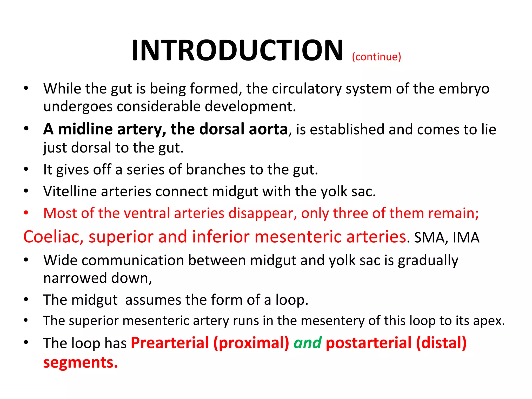 While the gut is being formed, the circulatory system of the embryo undergoes considerable development. A midline artery, the dorsal aorta , is established and comes to lie just dorsal to the gut. It gives off a series of branches to the gut. Vitelline arteries connect midgut with the yolk sac. Most of the ventral arteries disappear, only three of them remain; Coeliac, superior and inferior mesenteric arteries . SMA, IMA  Wide communication between midgut and yolk sac is gradually narrowed down, The midgut  assumes the form of a loop. The superior mesenteric artery runs in the mesentery of this loop to its apex. The loop has  Prearterial (proximal)  and  postarterial (distal) segments. INTRODUCTION  (continue) 