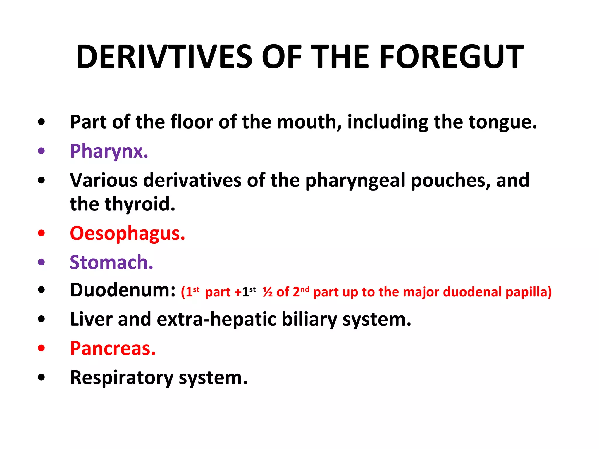 DERIVTIVES OF THE FOREGUT Part of the floor of the mouth, including the tongue. Pharynx. Various derivatives of the pharyngeal pouches, and the thyroid. Oesophagus. Stomach. Duodenum:  (1 st  part + 1 st   ½ of 2 nd  part up to the major duodenal papilla) Liver and extra-hepatic biliary system. Pancreas. Respiratory system. 