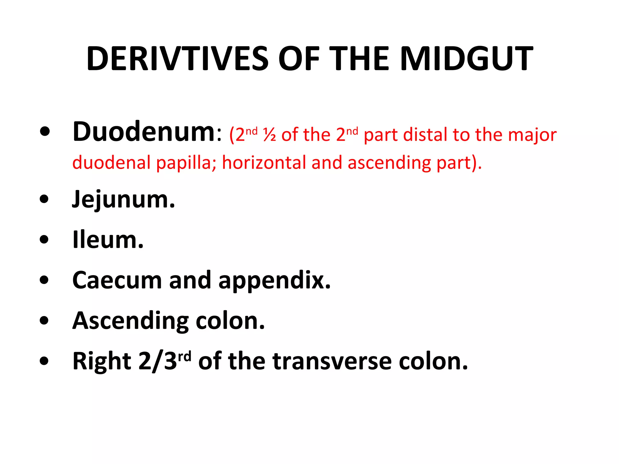Duodenum :  (2 nd  ½ of the 2 nd  part distal to the major duodenal papilla; horizontal and ascending part). Jejunum. Ileum. Caecum and appendix. Ascending colon. Right 2/3 rd  of the transverse colon. DERIVTIVES OF THE MIDGUT 