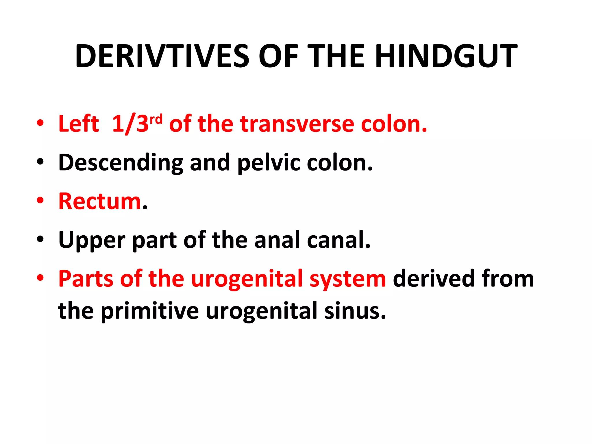 Left  1/3 rd  of the transverse colon. Descending and pelvic colon. Rectum . Upper part of the anal canal. Parts of the urogenital system  derived from the primitive urogenital sinus. DERIVTIVES OF THE HINDGUT 