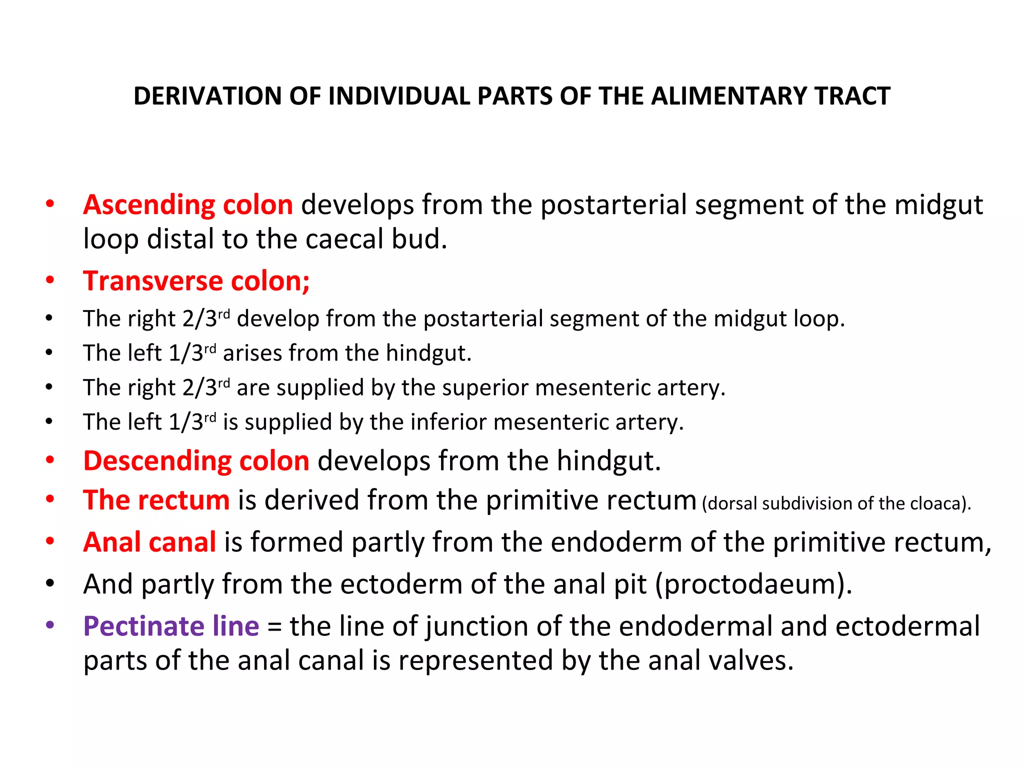 Ascending colon  develops from the postarterial segment of the midgut loop distal to the caecal bud. Transverse colon; The right 2/3 rd  develop from the postarterial segment of the midgut loop. The left 1/3 rd  arises from the hindgut. The right 2/3 rd  are supplied by the superior mesenteric artery. The left 1/3 rd  is supplied by the inferior mesenteric artery. Descending colon  develops from the hindgut. The rectum  is derived from the primitive rectum   (dorsal subdivision of the cloaca). Anal canal  is formed partly from the endoderm of the primitive rectum, And partly from the ectoderm of the anal pit (proctodaeum). Pectinate line  = the line of junction of the endodermal and ectodermal parts of the anal canal is represented by the anal valves. DERIVATION OF INDIVIDUAL PARTS OF THE ALIMENTARY TRACT 