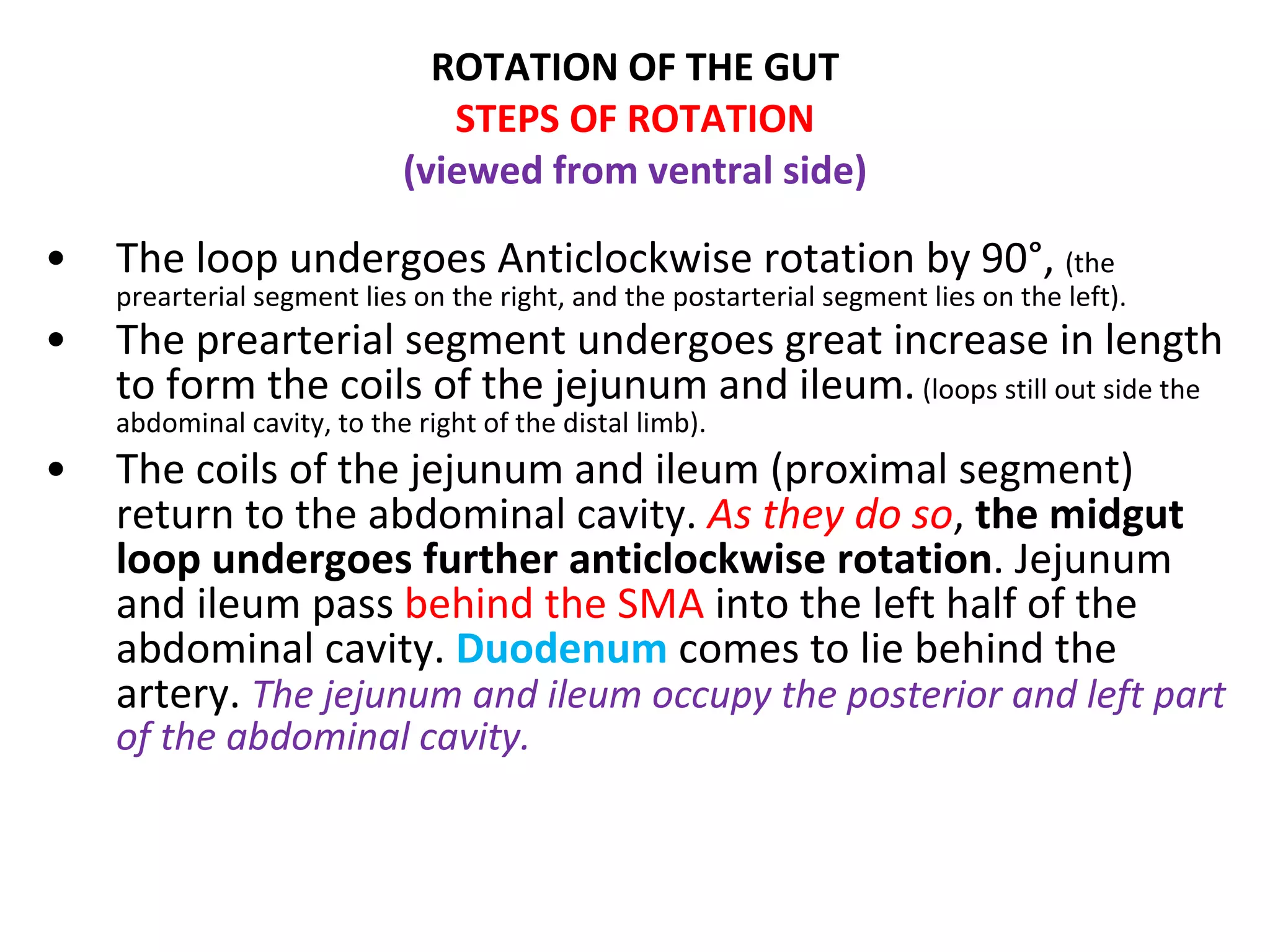 The loop undergoes Anticlockwise rotation by 90°,  (the prearterial segment lies on the right, and the postarterial segment lies on the left). The prearterial segment undergoes great increase in length to form the coils of the jejunum and ileum.  (loops still out side the abdominal cavity, to the right of the distal limb). The coils of the jejunum and ileum (proximal segment) return to the abdominal cavity.  As they do so ,  the midgut loop undergoes further anticlockwise rotation . Jejunum and ileum pass  behind the SMA  into the left half of the abdominal cavity.  Duodenum  comes to lie behind the artery.  The jejunum and ileum occupy the posterior and left part of the abdominal cavity. ROTATION OF THE GUT STEPS OF ROTATION (viewed from ventral side) 