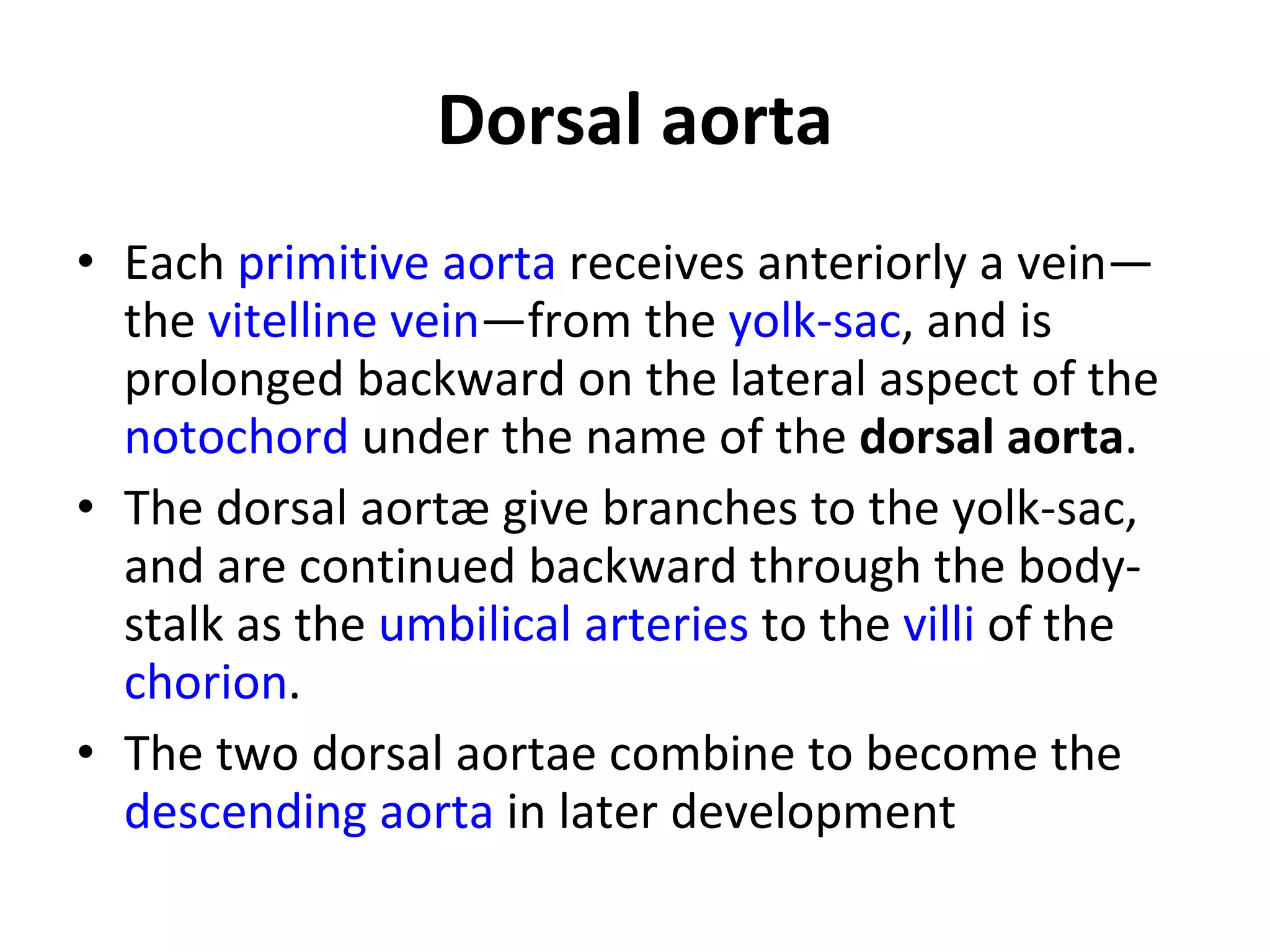 Dorsal aorta Each  primitive aorta  receives anteriorly a vein—the  vitelline  vein —from the  yolk-sac , and is prolonged backward on the lateral aspect of the  notochord  under the name of the  dorsal aorta . The dorsal aortæ give branches to the yolk-sac, and are continued backward through the body-stalk as the  umbilical arteries  to the  villi  of the  chorion . The two dorsal aortae combine to become the  descending aorta  in later development 