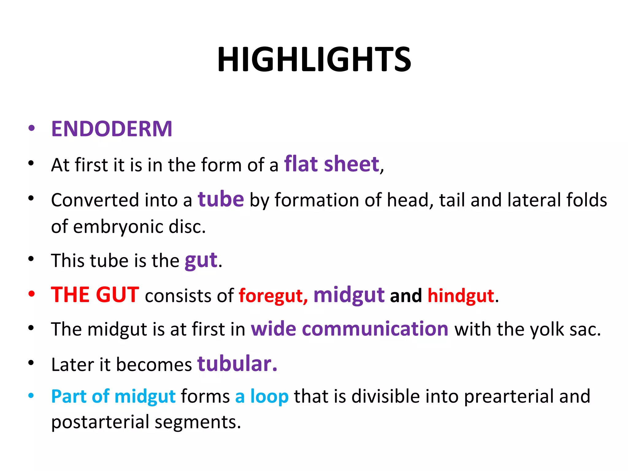 HIGHLIGHTS ENDODERM  At first it is in the form of a  flat sheet , Converted into a  tube  by formation of head, tail and lateral folds of embryonic disc. This tube is the  gut . THE GUT  consists of  foregut,  midgut   and  hindgut . The midgut is at first in  wide communication  with the yolk sac. Later it becomes  tubular. Part of midgut  forms  a loop  that is divisible into prearterial and postarterial segments. 