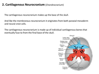 Embryology part 10 | PDF