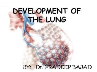 DEVELOPMENT OF
THE LUNG
BY:- Dr. PRADEEP BAJAD
 