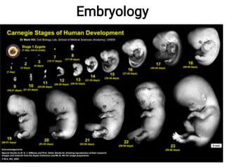 Embryology
 