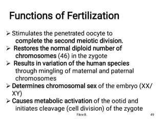 Functions of Fertilization





Stimulates the penetrated oocyte to
complete the second meiotic division.
Restores the normal diploid number of
chromosomes (46) in the zygote
Results in variation of the human species
through mingling of maternal and paternal
chromosomes
Determines chromosomal sex of the embryo (XX/
XY)
Causes metabolic activation of the ootid and
initiates cleavage (cell division) of the zygote
Fikre B. 49
 
