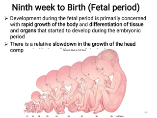Ninth week to Birth (Fetal period)


Development during the fetal period is primarily concerned
with rapid growth of the body and differentiation of tissue
and organs that started to develop during the embryonic
period
There is a relative slowdown in the growth of the head
compared with that of the rest of the body
Fikre B. 69
 