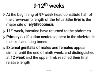 9-12th weeks




At the beginning of 9th week head constitute half of
the crown-ramp length of the fetus &the liver is the
major site of erytrhropoiesis
11th week, intestine have returned to the abdomen
Primary ossiﬁcation centers appear in the skeleton in
the skull and long bones
External genitalia of males and females appear
similar until the end of ninth week, and distinguished
at 12 week and the upper limb reached their ﬁnal
relative length
Fikre B. 70
 