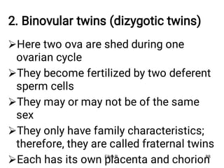 2. Binovular twins (dizygotic twins)





Here two ova are shed during one
ovarian cycle
They become fertilized by two deferent
sperm cells
They may or may not be of the same
sex
They only have family characteristics;
therefore, they are called fraternal twins
Each has its own placenta and chorion
Fikre B. 88
 