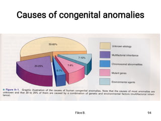Causes of congenital anomalies
Fikre B. 94
 