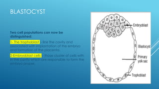 Embryology 1.pptx........................ | PPTX