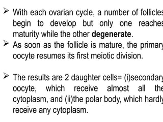 Comprehensive Overview of Human Embryology: Cell Division and ...