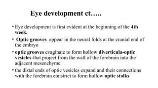 EMBRYOLOGY Anatomy of the eye and it's development | PPTX