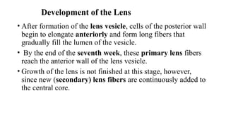EMBRYOLOGY Anatomy of the eye and it's development | PPTX