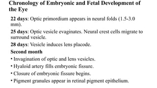 EMBRYOLOGY Anatomy of the eye and it's development | PPTX