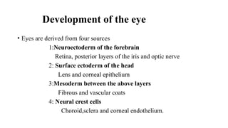 EMBRYOLOGY Anatomy of the eye and it's development | PPTX