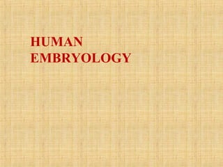 HUMAN
EMBRYOLOGY
 