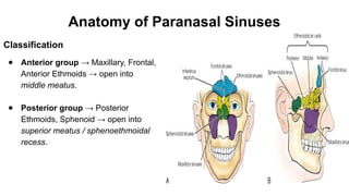 Embryology, Anatomy and Physiology of the Nose and Paranasal Sinuses.pptx