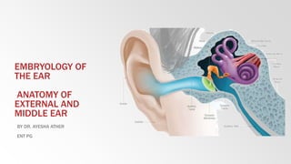 EMBRYOLOGY OF
THE EAR
ANATOMY OF
EXTERNAL AND
MIDDLE EAR
BY DR. AYESHA ATHER
ENT PG
 
