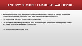 Embryology and anatomy of external and middle ear | PPTX