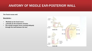 Embryology and anatomy of external and middle ear | PPTX