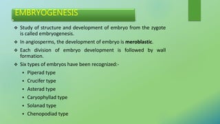 EMBRYOGENESIS
 Study of structure and development of embryo from the zygote
is called embryogenesis.
 In angiosperms, the development of embryo is meroblastic.
 Each division of embryo development is followed by wall
formation.
 Six types of embryos have been recognized:-
 Piperad type
 Crucifer type
 Asterad type
 Caryophyllad type
 Solanad type
 Chenopodiad type
 