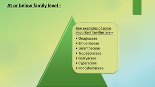 Few examples of some
important families are –
• Onagraceae
• Empetraceae
• Loranthaceae
• Tropaeolaceae
• Garryaceae
• Cyperaceae
• Podostemaceae
At or below family level -
 
