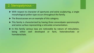 2. Stenopalynous -
 With respect to character of apertures and exine sculpturing, a single
morphological pollen type occurs throughout the family.
 The Brassicaceae are an example of this category.
 This family is characterized by having three zonocolpate sporomorphs
and exine surface representing a reticulate ornamentation.
 In this family various taxa are noticeable by nature of reticulation,
being either well developed or faint, heterobrochate or
homobrochate.
 