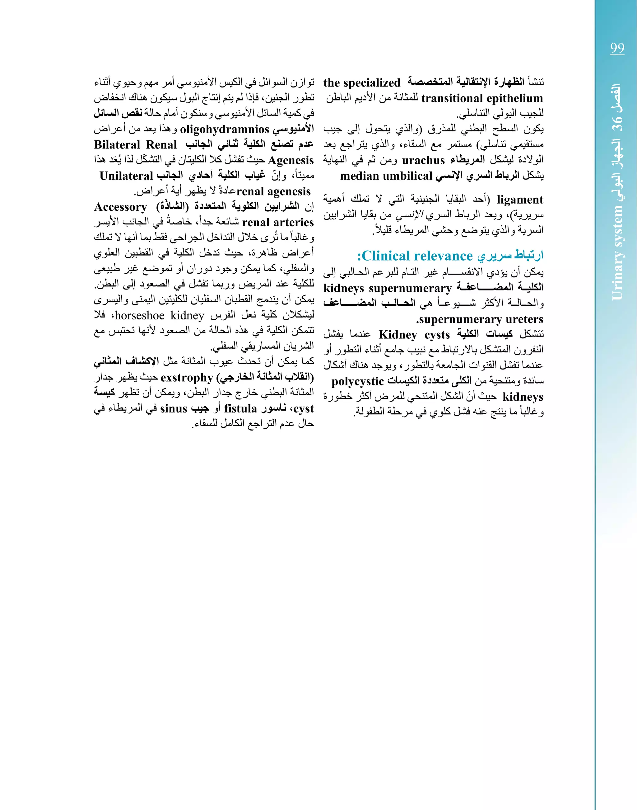 ‫تنشأ‬‫المتخصصة‬ ‫اإلنتقالية‬ ‫الظهارة‬the specialized
transitional epithelium‫الباطن‬ ‫األديم‬ ‫من‬ ‫للمثانة‬
.‫التناسلي‬ ‫البولي‬ ‫للجيب‬
‫للمذر‬ ‫البطني‬ ‫السطح‬ ‫يكون‬‫(والذي‬ ‫ق‬‫جيب‬ ‫إلى‬ ‫يتحول‬
‫بعد‬ ‫يتراجع‬ ‫والذي‬ ،‫السقاء‬ ‫مع‬ ‫مستمر‬ )‫تناسلي‬ ‫مستقيمي‬
‫ليشكل‬ ‫الوالدة‬‫طاء‬ ‫المر‬urachus‫النهاية‬ ‫في‬ ‫ثم‬ ‫ومن‬
‫يشكل‬‫اإلنسي‬ ‫السري‬ ‫الرباط‬median umbilical
ligament‫أهمية‬ ‫تملك‬ ‫ال‬ ‫التي‬ ‫الجنينية‬ ‫البقايا‬ ‫(أحد‬
‫السري‬ ‫الرباط‬ ‫ويعد‬ ،)‫سريرية‬‫اإلنسي‬‫بقاي‬ ‫من‬‫الشرايين‬ ‫ا‬
.ً‫ال‬‫قلي‬ ‫المريطاء‬ ‫وحشي‬ ‫يتوضع‬ ‫والذي‬ ‫السرية‬
‫ري‬ ‫سر‬ ‫ارتباط‬Clinical relevance:
‫إلى‬ ‫الحكالبي‬ ‫للبرعم‬ ‫التكام‬ ‫غير‬ ‫كام‬‫ك‬‫االنقسككك‬ ‫يؤدي‬ ‫أن‬ ‫يمكن‬
‫تاعفتتة‬‫ت‬‫المضتتتت‬ ‫الكليتتة‬supernumerarykidneys
‫هي‬ ً‫ا‬‫شككككيوعكك‬ ‫األكثر‬ ‫والحككالككة‬‫تاعف‬‫ت‬‫المضتتتت‬ ‫الحتتالتتب‬
supernumerary ureters.
‫تتشكل‬‫الكلية‬ ‫كيسات‬Kidney cysts‫يفشل‬ ‫عندما‬
‫النفرون‬‫أو‬ ‫التطور‬ ‫أثناء‬ ‫جامع‬ ‫نبيب‬ ‫مع‬ ‫باالرتباط‬ ‫المتشكل‬
‫أشكال‬ ‫هناك‬ ‫ويوجد‬ ،‫بالتطور‬ ‫الجامعة‬ ‫القنوات‬ ‫تفشل‬ ‫عندما‬
‫من‬ ‫ومتنحية‬ ‫سائدة‬‫الكيسات‬ ‫متعددة‬ ‫الكلى‬polycystic
kidneys‫خطورة‬ ‫أكثر‬ ‫للمرض‬ ‫المتنحي‬ ‫الشكل‬ ّ‫أن‬ ‫حيث‬
‫كلو‬ ‫فشل‬ ‫عنه‬ ‫ينتج‬ ‫ما‬ ً‫ا‬‫وغالب‬.‫الطفولة‬ ‫مرحلة‬ ‫في‬ ‫ي‬
‫أثناء‬ ‫وحيوي‬ ‫مهم‬ ‫أمر‬ ‫األمنيوسي‬ ‫الكيس‬ ‫في‬ ‫السوائل‬ ‫توازن‬
‫انخفاض‬ ‫هناك‬ ‫سيكون‬ ‫البول‬ ‫إنتاج‬ ‫يتم‬ ‫لم‬ ‫فإذا‬ ،‫الجنين‬ ‫تطور‬
‫حالة‬ ‫أمام‬ ‫وسنكون‬ ‫األمنيوسي‬ ‫السائل‬ ‫كمية‬ ‫في‬‫السائل‬ ‫نقص‬
‫األمنيوسي‬oligohydramnios‫أعراض‬ ‫من‬ ‫يعد‬ ‫وهذا‬
‫ال‬ ‫تصنع‬ ‫عدم‬‫الجانب‬ ‫ثنائي‬ ‫كلية‬Bilateral Renal
Agenesis‫هذا‬ ‫د‬‫ُع‬‫ي‬ ‫لذا‬ ‫ل‬ّ‫ك‬‫التش‬ ‫في‬ ‫الكليتان‬ ‫كال‬ ‫تفشل‬ ‫حيث‬
ّ‫وإن‬ ،ً‫ا‬‫مميت‬‫الجانب‬ ‫أحادي‬ ‫الكلية‬ ‫غياب‬Unilateral
renal agenesis.‫أعراض‬ ‫أية‬ ‫يظهر‬ ‫ال‬ ً‫ة‬‫عاد‬
‫إن‬)‫ة‬ّ‫ذ‬‫(الشا‬ ‫المتعددة‬ ‫ة‬ ‫الكلو‬ ‫ين‬ ‫الشرا‬Accessory
renal arteries‫خ‬ ،ً‫ا‬‫جد‬ ‫شائعة‬‫األيسر‬ ‫الجانب‬ ‫في‬ ً‫ة‬‫اص‬
ً‫ا‬‫وغالب‬‫تملك‬ ‫ال‬ ‫أنها‬ ‫بما‬ ‫فقط‬ ‫الجراحي‬ ‫التداخل‬ ‫خالل‬ ‫رى‬ُ‫ت‬ ‫ما‬
‫العلوي‬ ‫القطبين‬ ‫في‬ ‫الكلية‬ ‫تدخل‬ ‫حيث‬ ،‫ظاهرة‬ ‫أعراض‬
‫طبيعي‬ ‫غير‬ ‫تموضع‬ ‫أو‬ ‫دوران‬ ‫وجود‬ ‫يمكن‬ ‫كما‬ ،‫والسفلي‬
.‫البطن‬ ‫إلى‬ ‫الصعود‬ ‫في‬ ‫تفشل‬ ‫وربما‬ ‫المريض‬ ‫عند‬ ‫للكلية‬
‫السفليان‬ ‫القطبان‬ ‫يندمج‬ ‫أن‬ ‫يمكن‬‫واليسرى‬ ‫اليمنى‬ ‫للكليتين‬
‫ليشكال‬‫الفرس‬ ‫نعل‬ ‫كلية‬ ‫ن‬horseshoe kidney‫فال‬ ،
‫مع‬ ‫تحتبس‬ ‫ألنها‬ ‫الصعود‬ ‫من‬ ‫الحالة‬ ‫هذه‬ ‫في‬ ‫الكلية‬ ‫تتمكن‬
.‫السفلي‬ ‫المساريقي‬ ‫الشريان‬
‫تحدث‬ ‫أن‬ ‫يمكن‬ ‫كما‬‫مثل‬ ‫المثانة‬ ‫عيوب‬‫اني‬ ‫الم‬ ‫اإلكشاف‬
(‫الخارجي‬ ‫انة‬ ‫الم‬ ‫انقالب‬)exstrophy‫جدار‬ ‫يظهر‬ ‫حيث‬
‫ا‬ ‫المثانة‬‫تظهر‬ ‫أن‬ ‫ويمكن‬ ،‫البطن‬ ‫جدار‬ ‫خارج‬ ‫لبطني‬‫كيسة‬
cyst،‫ناسور‬fistula‫أو‬‫جيب‬sinus‫في‬ ‫المريطاء‬ ‫في‬
.‫للسقاء‬ ‫الكامل‬ ‫التراجع‬ ‫عدم‬ ‫حال‬
‫الفصل‬63‫البولي‬‫الجهاز‬Urinarysystem
99
 