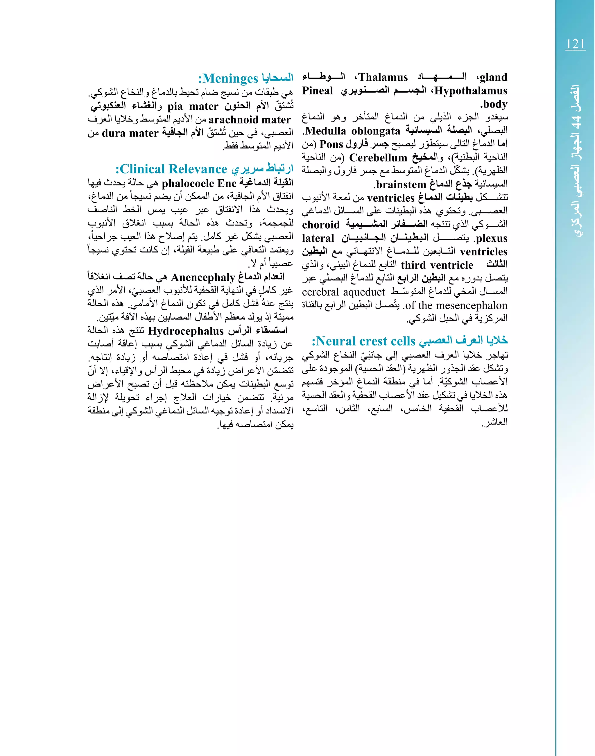 gland‫التتتتمتتتتهتتتتاد‬ ،Thalamus‫التتتتوطتتتتاء‬ ،
Hypothalamus‫تري‬‫ب‬‫تو‬‫ن‬‫ت‬‫ت‬‫الصتتت‬ ‫تم‬‫ت‬‫تجستتت‬‫ل‬‫ا‬ ،Pineal
body.
‫سيغدو‬‫المتأخر‬ ‫الدماغ‬ ‫من‬ ‫الذيلي‬ ‫الجزء‬‫الدماغ‬ ‫وهو‬
‫البصلي‬،‫السيسائية‬ ‫البصلة‬Medulla oblongata.
‫أما‬‫التالي‬ ‫الدماغ‬‫س‬‫ر‬ ّ‫يتطو‬‫ليصبح‬‫فارول‬ ‫جسر‬Pons‫(من‬
‫و‬ ،)‫البطنية‬ ‫الناحية‬‫ا‬‫لمخيخ‬Cerebellum‫الناحية‬ ‫(من‬
‫والبصلة‬ ‫فارول‬ ‫جسر‬ ‫مع‬ ‫المتوسط‬ ‫الدماغ‬ ‫ل‬ّ‫ك‬‫يش‬ .)‫الظهرية‬
‫السيسائية‬‫الدماغ‬ ‫جذع‬brainstem.
‫كل‬‫ك‬‫تتشكككك‬‫تات‬‫ن‬‫بطي‬‫تاغ‬‫م‬‫تد‬‫ل‬‫ا‬ventricles‫األنبوب‬ ‫كة‬‫ع‬‫لم‬ ‫من‬
‫وتحتوي‬ .‫كبي‬‫ك‬‫العصكك‬‫هذه‬‫البطينات‬‫الدماغي‬ ‫كائل‬‫ك‬‫السكك‬ ‫على‬
‫تنتجه‬ ‫الذي‬ ‫كوكي‬‫ك‬‫الشكك‬‫المشتتتتيمية‬ ‫الضتتتتفائر‬choroid
plexus.‫كل‬‫ك‬‫كتصكككك‬‫ي‬‫تيتتان‬‫ب‬‫ت‬‫ن‬‫تجتتا‬‫ل‬‫ا‬ ‫تنتتان‬‫ي‬‫ت‬‫ط‬‫ت‬‫ب‬‫ت‬‫ل‬‫ا‬lateral
ventricles‫كن‬‫ي‬‫ك‬‫ع‬‫ك‬‫ب‬‫كتككا‬‫ل‬‫ا‬‫ك‬‫ل‬‫ا‬ ‫لككدمككاغ‬‫ال‬‫كع‬‫م‬ ‫كي‬‫ئ‬‫كهككا‬‫ت‬‫ك‬‫ن‬‫تن‬‫ي‬‫ت‬‫ط‬‫ت‬‫ب‬‫ت‬‫ل‬‫ا‬
‫الث‬ ‫ال‬third ventricle‫التابع‬‫ل‬‫والذي‬ ،‫البيني‬ ‫لدماغ‬
‫مع‬ ‫بدوره‬ ‫يتصكل‬‫الرابع‬ ‫البطين‬‫التابع‬‫ل‬‫ا‬ ‫لدماغ‬‫ل‬‫بصكلي‬‫عبر‬
‫ال‬‫المخي‬ ‫مسككال‬‫ل‬‫ط‬ ّ‫المتوسكك‬ ‫لدماغ‬cerebral aqueduct
of the mesencephalon‫بالقناة‬ ‫الرابع‬ ‫البطين‬ ‫كل‬‫ك‬‫ص‬ّ‫ت‬‫ي‬ .
.‫الشوكي‬ ‫الحبل‬ ‫في‬ ‫المركزية‬
‫العصبي‬ ‫العرف‬ ‫ا‬ ‫خال‬Neural crest cells:
‫ال‬ ّ‫ي‬‫جانب‬ ‫إلى‬ ‫العصبي‬ ‫العرف‬ ‫خاليا‬ ‫تهاجر‬‫نخاع‬‫الشوكي‬
‫الجذ‬ ‫عقد‬ ‫وتشكل‬‫و‬‫الظهري‬ ‫ر‬‫ة‬‫ا‬ ‫(العقد‬)‫لحسية‬‫على‬ ‫الموجودة‬
‫الم‬ ‫الدماغ‬ ‫منطقة‬ ‫في‬ ‫أما‬ .‫ّة‬‫ي‬‫الشوك‬ ‫األعصاب‬‫ؤخر‬‫ف‬‫تسهم‬
‫تشكيل‬ ‫في‬ ‫الخاليا‬ ‫هذه‬‫الحسية‬ ‫والعقد‬ ‫القحفية‬ ‫األعصاب‬ ‫عقد‬
،‫التاسع‬ ،‫الثامن‬ ،‫السابع‬ ،‫الخامس‬ ‫القحفية‬ ‫لألعصاب‬
.‫العاشر‬
‫ا‬ ‫السحا‬Meninges:
‫طبقات‬ ‫هي‬‫من‬‫ضام‬ ‫نسيج‬‫ت‬‫والنخاع‬ ‫بالدماغ‬ ‫حيط‬.‫الشوكي‬
ّ‫شتق‬ُ‫ت‬‫الحنون‬ ‫األم‬pia mater‫و‬‫العنكبوتي‬ ‫الغشاء‬
arachnoid mater‫األ‬ ‫من‬‫ديم‬‫العرف‬ ‫وخاليا‬ ‫المتوسط‬
،‫العصبي‬‫حين‬ ‫في‬ّ‫شتق‬ُ‫ت‬‫الجافية‬ ‫األم‬dura mater‫من‬
‫األ‬‫ديم‬‫المتوسط‬.‫فقط‬
‫ا‬‫رتباط‬‫ري‬ ‫سر‬Clinical Relevance:
‫القيلة‬‫الدماغ‬‫ية‬Encphalocoele‫ه‬‫ي‬‫فيها‬ ‫يحدث‬ ‫حالة‬
‫ا‬ ‫انفتاق‬‫ا‬ ‫من‬ ،‫الجافية‬ ‫ألم‬‫لممكن‬‫يضم‬ ‫أن‬‫نسيج‬‫من‬ ً‫ا‬،‫الدماغ‬
‫الناصف‬ ‫الخط‬ ‫يمس‬ ‫عيب‬ ‫عبر‬ ‫االنفتاق‬ ‫هذا‬ ‫ويحدث‬
‫للجمجمة‬،‫الحالة‬ ‫هذه‬ ‫وتحدث‬‫بسبب‬‫انغالق‬‫ا‬‫ألنبوب‬
‫العصبي‬‫كامل‬ ‫غير‬ ‫بشكل‬،ً‫ا‬‫جراحي‬ ‫العيب‬ ‫هذا‬ ‫إصالح‬ ‫يتم‬ .
‫و‬‫ي‬‫طبيعة‬ ‫على‬ ‫التعافي‬ ‫عتمد‬ً‫ا‬‫نسيج‬ ‫تحتوي‬ ‫كانت‬ ‫إن‬ ،‫القيلة‬
ً‫ا‬‫عصبي‬‫ال‬ ‫أم‬.
‫الدماغ‬ ‫انعدام‬Anencephalyً‫ا‬‫انغالق‬ ‫تصف‬ ‫حالة‬ ‫هي‬
ّ‫ي‬‫العصب‬ ‫لألنبوب‬ ‫القحفية‬ ‫النهاية‬ ‫في‬ ٍ‫ل‬‫كام‬ ‫غير‬‫الذي‬ ‫األمر‬ ،
‫الحالة‬ ‫هذه‬ .‫األمامي‬ ‫الدماغ‬ ‫تكون‬ ‫في‬ ‫كامل‬ ‫فشل‬ ُ‫ه‬‫عن‬ ‫ينتج‬
‫مميتة‬‫يولد‬ ‫إذ‬‫األطفال‬ ‫معظم‬‫ب‬ ‫المصابين‬‫اآلفة‬ ‫هذه‬‫ّتي‬‫ي‬‫م‬.‫ن‬
‫الرأس‬ ‫استسقاء‬Hydrocephalus‫تن‬‫الحالة‬ ‫هذه‬ ‫تج‬
‫بسبب‬ ‫الشوكي‬ ‫الدماغي‬ ‫السائل‬ ‫زيادة‬ ‫عن‬‫أصابت‬ ‫إعاقة‬
‫جريانه‬،‫أو‬.‫إنتاجه‬ ‫زيادة‬ ‫أو‬ ‫امتصاصه‬ ‫إعادة‬ ‫في‬ ‫فشل‬
،‫واإلقياء‬ ‫الرأس‬ ‫محيط‬ ‫في‬ ‫زيادة‬ ‫األعراض‬ ‫ن‬ّ‫م‬‫تتض‬ّ‫أن‬ ‫إال‬
‫البطينات‬ ‫توسع‬‫األعراض‬ ‫تصبح‬ ‫أن‬ ‫قبل‬ ‫مالحظته‬ ‫يمكن‬
‫العالج‬ ‫خيارات‬ ‫تتضمن‬ .‫مرئية‬‫إجراء‬‫تحويلة‬‫إلزال‬‫ة‬
‫االنسداد‬‫إعادة‬ ‫أو‬‫إلى‬ ‫الشوكي‬ ‫الدماغي‬ ‫السائل‬ ‫توجيه‬‫م‬‫نطقة‬
.‫فيها‬ ‫امتصاصه‬ ‫يمكن‬
‫الفصل‬44‫المركزي‬‫العصبي‬‫الجهاز‬
121
 