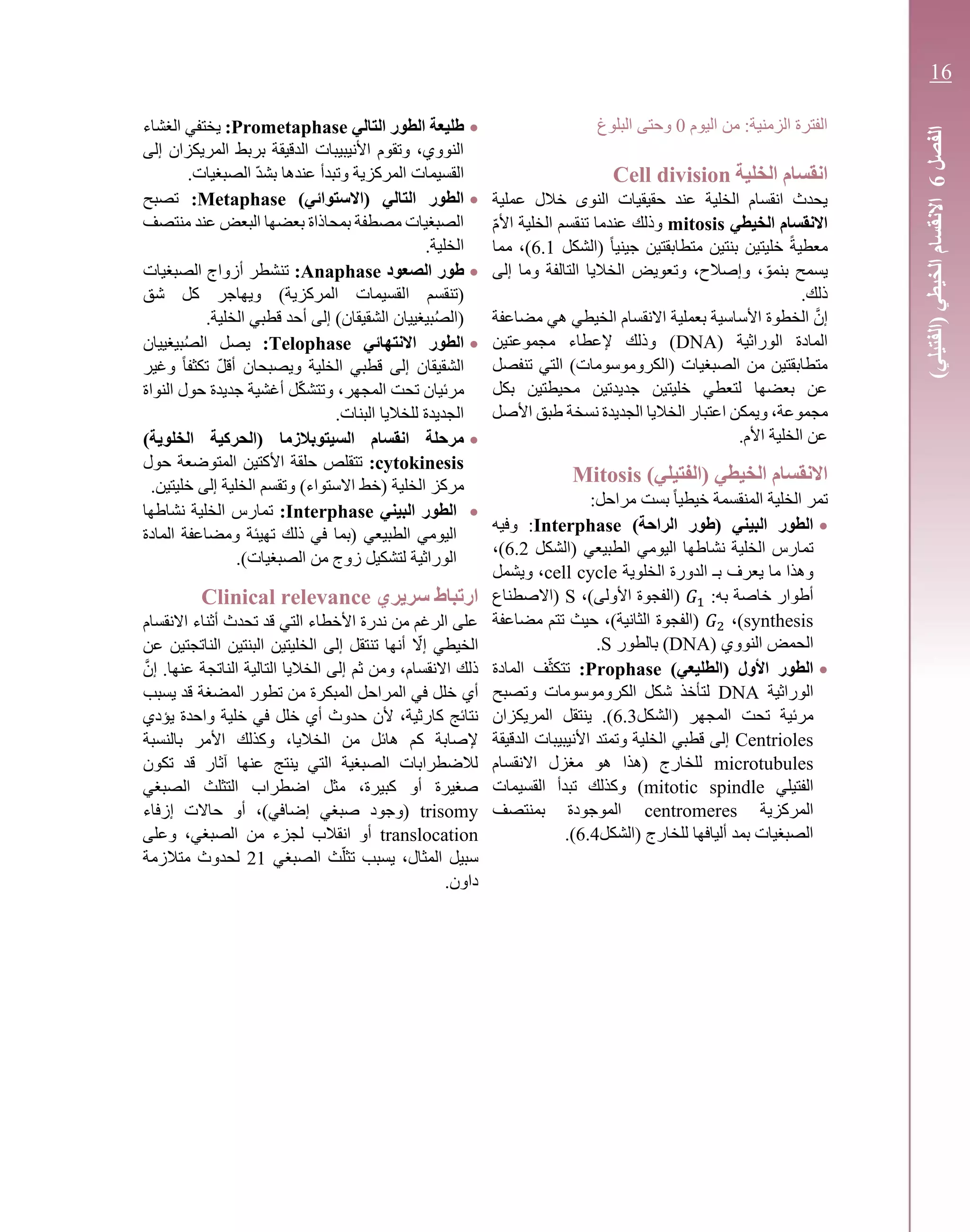 ‫اليوم‬ ‫من‬ :‫الزمنية‬ ‫الفترة‬0‫البلوغ‬ ‫وحتى‬
‫الخلية‬ ‫انقسام‬Cell division
‫عملية‬ ‫خالل‬ ‫النوى‬ ‫حقيقيات‬ ‫عند‬ ‫الخلية‬ ‫انقسام‬ ‫يحدث‬
‫الخيطي‬ ‫االنقسام‬mitosisّ‫م‬‫األ‬ ‫الخلية‬ ‫تنقسم‬ ‫عندما‬ ‫وذلك‬
( ً‫ا‬‫جيني‬ ‫متطابقتين‬ ‫بنتين‬ ‫خليتين‬ ً‫ة‬‫معطي‬‫الشكل‬6.1‫مما‬ ،)
‫إلى‬ ‫وما‬ ‫التالفة‬ ‫الخاليا‬ ‫وتعويض‬ ،‫وإصالح‬ ، ّ‫بنمو‬ ‫يسمح‬
.‫ذلك‬
‫مضاعفة‬ ‫هي‬ ‫الخيطي‬ ‫االنقسام‬ ‫بعملية‬ ‫األساسية‬ ‫الخطوة‬ َّ‫إن‬
( ‫الوراثية‬ ‫المادة‬DNA‫مجموعتين‬ ‫إلعطاء‬ ‫وذلك‬ )
‫تنفصل‬ ‫التي‬ )‫(الكروموسومات‬ ‫الصبغيات‬ ‫من‬ ‫متطابقتين‬
‫بكل‬ ‫محيطتين‬ ‫جديدتين‬ ‫خليتين‬ ‫لتعطي‬ ‫بعضها‬ ‫عن‬
‫مج‬‫الجديدة‬ ‫الخاليا‬ ‫اعتبار‬ ‫ويمكن‬ ،‫موعة‬‫نسخة‬‫طبق‬‫األصل‬
.‫األم‬ ‫الخلية‬ ‫عن‬
)‫(الفتيلي‬ ‫الخيطي‬ ‫االنقسام‬Mitosis
:‫مراحل‬ ‫بست‬ ً‫ا‬‫خيطي‬ ‫المنقسمة‬ ‫الخلية‬ ‫تمر‬
•)‫الراحة‬ ‫(طور‬ ‫البيني‬ ‫الطور‬Interphase‫وفيه‬ :
( ‫الطبيعي‬ ‫اليومي‬ ‫نشاطها‬ ‫الخلية‬ ‫تمارس‬‫الشكل‬6.2،)
‫الخلوية‬ ‫الدورة‬ ‫بـ‬ ‫يعرف‬ ‫ما‬ ‫وهذا‬cell cycle‫ويشمل‬ ،
:‫به‬ ‫خاصة‬ ‫أطوار‬𝐺1،)‫األولى‬ ‫(الفجوة‬S‫(االصطناع‬
synthesis،)𝐺2‫مضاعفة‬ ‫تتم‬ ‫حيث‬ ،)‫الثانية‬ ‫(الفجوة‬
‫النووي‬ ‫الحمض‬(DNA‫بالطور‬ )S.
•)‫(الطليعي‬ ‫األول‬ ‫الطور‬Prophase:‫المادة‬ ‫ف‬ّ‫ث‬‫تتك‬
‫الوراثية‬DNA‫وتصبح‬ ‫الكروموسومات‬ ‫شكل‬ ‫لتأخذ‬
‫(الشكل‬ ‫المجهر‬ ‫تحت‬ ‫مرئية‬6.3‫المريكزان‬ ‫ينتقل‬ .)
Centrioles‫الدقيقة‬ ‫األنيبيبات‬ ‫وتمتد‬ ‫الخلية‬ ‫قطبي‬ ‫إلى‬
microtubules‫االنقسام‬ ‫مغزل‬ ‫هو‬ ‫(هذا‬ ‫للخارج‬
‫الفتيلي‬mitotic spindle‫القسيمات‬ ‫تبدأ‬ ‫وكذلك‬ )
‫المركزية‬centromeres‫بمنتصف‬ ‫الموجودة‬
‫(الشكل‬ ‫للخارج‬ ‫أليافها‬ ‫بمد‬ ‫الصبغيات‬6.4.)
•‫التالي‬ ‫الطور‬ ‫طليعة‬Prometaphase:‫الغشاء‬ ‫يختفي‬
‫إلى‬ ‫المريكزان‬ ‫بربط‬ ‫الدقيقة‬ ‫األنيبيبات‬ ‫وتقوم‬ ،‫النووي‬
.‫الصبغيات‬ ّ‫د‬‫بش‬ ‫عندها‬ ‫وتبدأ‬ ‫المركزية‬ ‫القسيمات‬
•)‫(االستوائي‬ ‫التالي‬ ‫الطور‬Metaphase:‫تصبح‬
‫منتصف‬ ‫عند‬ ‫البعض‬ ‫بعضها‬ ‫بمحاذاة‬ ‫مصطفة‬ ‫الصبغيات‬
.‫الخلية‬
•‫الصعود‬ ‫طور‬Anaphase:‫الصبغيات‬ ‫أزواج‬ ‫تنشطر‬
‫ا‬ ‫(تنقسم‬‫شق‬ ‫كل‬ ‫ويهاجر‬ )‫المركزية‬ ‫لقسيمات‬
.‫الخلية‬ ‫قطبي‬ ‫أحد‬ ‫إلى‬ )‫الشقيقان‬ ‫بيغييان‬ُ‫ص‬‫(ال‬
•‫االنتهائي‬ ‫الطور‬Telophase:‫بيغييان‬ُ‫ص‬‫ال‬ ‫يصل‬
‫الشقيقان‬‫وغير‬ ً‫ا‬‫تكثف‬ ّ‫ل‬‫أق‬ ‫ويصبحان‬ ‫الخلية‬ ‫قطبي‬ ‫إلى‬
‫النواة‬ ‫حول‬ ‫جديدة‬ ‫أغشية‬ ‫ل‬ّ‫ك‬‫وتتش‬ ،‫المجهر‬ ‫تحت‬ ‫مرئيان‬
.‫البنات‬ ‫للخاليا‬ ‫الجديدة‬
•‫مرحلة‬‫انقسام‬‫السيتوبالزما‬‫(الحركية‬‫الخلوية‬)
cytokinesis:‫األكتين‬ ‫حلقة‬ ‫تتقلص‬‫المتوضعة‬‫حول‬
‫الخلية‬ ‫مركز‬)‫االستواء‬ ‫(خط‬‫إلى‬ ‫الخلية‬ ‫وتقسم‬‫خليتين‬.
•‫البيني‬ ‫الطور‬Interphase:‫نشاطها‬ ‫الخلية‬ ‫تمارس‬
‫ذلك‬ ‫في‬ ‫(بما‬ ‫الطبيعي‬ ‫اليومي‬‫تهيئة‬‫المادة‬ ‫ومضاعفة‬
.)‫الصبغيات‬ ‫من‬ ‫زوج‬ ‫لتشكيل‬ ‫الوراثية‬
‫سريري‬ ‫ارتباط‬Clinical relevance
‫االنقسام‬ ‫أثناء‬ ‫تحدث‬ ‫قد‬ ‫التي‬ ‫األخطاء‬ ‫ندرة‬ ‫من‬ ‫الرغم‬ ‫على‬
‫عن‬ ‫الناتجتين‬ ‫البنتين‬ ‫الخليتين‬ ‫إلى‬ ‫تنتقل‬ ‫أنها‬ ّ‫إال‬ ‫الخيطي‬
َّ‫إن‬ .‫عنها‬ ‫الناتجة‬ ‫التالية‬ ‫الخاليا‬ ‫إلى‬ ‫ثم‬ ‫ومن‬ ،‫االنقسام‬ ‫ذلك‬
‫أي‬‫يسبب‬ ‫قد‬ ‫المضغة‬ ‫تطور‬ ‫من‬ ‫المبكرة‬ ‫المراحل‬ ‫في‬ ‫خلل‬
‫يؤدي‬ ‫واحدة‬ ‫خلية‬ ‫في‬ ‫خلل‬ ‫أي‬ ‫حدوث‬ ‫ألن‬ ،‫كارثية‬ ‫نتائج‬
‫بالنسبة‬ ‫األمر‬ ‫وكذلك‬ ،‫الخاليا‬ ‫من‬ ‫هائل‬ ‫كم‬ ‫إلصابة‬
‫تكون‬ ‫قد‬ ‫آثار‬ ‫عنها‬ ‫ينتج‬ ‫التي‬ ‫الصبغية‬ ‫لالضطرابات‬
‫الصبغي‬ ‫التثلث‬ ‫اضطراب‬ ‫مثل‬ ،‫كبيرة‬ ‫أو‬ ‫صغيرة‬
trisomy‫إزفاء‬ ‫حاالت‬ ‫أو‬ ،)‫إضافي‬ ‫صبغي‬ ‫(وجود‬
translocation‫وعلى‬ ،‫الصبغي‬ ‫من‬ ‫لجزء‬ ‫انقالب‬ ‫أو‬
‫الصبغي‬ ‫ث‬ّ‫ل‬‫تث‬ ‫يسبب‬ ،‫المثال‬ ‫سبيل‬21‫متالزمة‬ ‫لحدوث‬
.‫داون‬
‫الفصل‬6‫(ا‬‫الخيطي‬‫االنقسام‬‫لفتيلي‬)
16
 