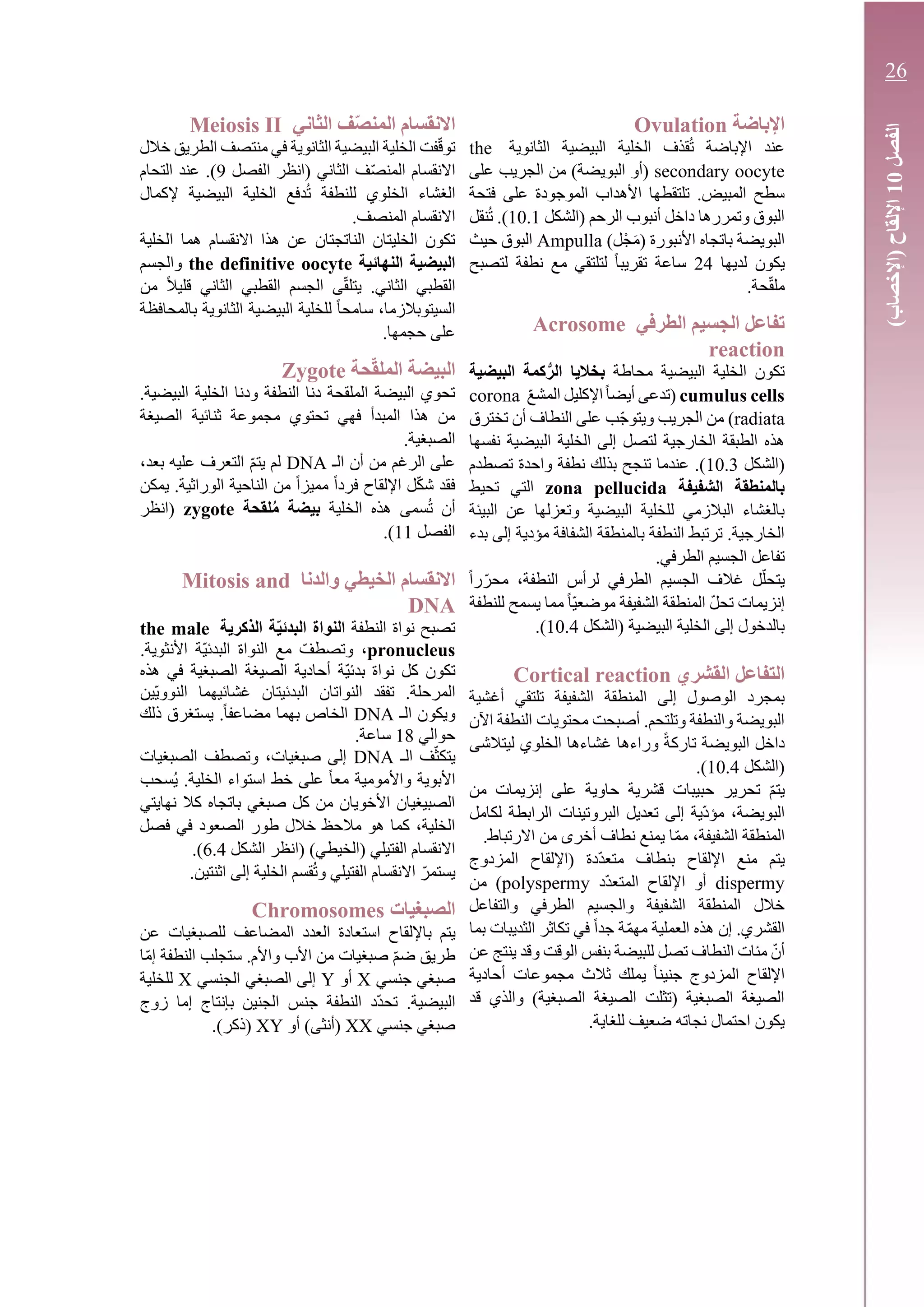 ‫اإلباضة‬Ovulation
‫الثانوية‬ ‫البيضية‬ ‫الخلية‬ ‫قذف‬ُ‫ت‬ ‫اإلباضة‬ ‫عند‬the
secondary oocyte‫على‬ ‫الجريب‬ ‫من‬ )‫البويضة‬ ‫(أو‬
‫فتحة‬ ‫على‬ ‫الموجودة‬ ‫األهداب‬ ‫تلتقطها‬ .‫المبيض‬ ‫سطح‬
‫(الشكل‬ ‫الرحم‬ ‫أنبوب‬ ‫داخل‬ ‫وتمررها‬ ‫البوق‬10.1‫نقل‬ُ‫ت‬ .)
)‫ل‬ْ‫ج‬َ‫م‬( ‫األنبورة‬ ‫باتجاه‬ ‫البويضة‬Ampulla‫حيث‬ ‫البوق‬
‫لديها‬ ‫يكون‬24‫لتصبح‬ ‫نطفة‬ ‫مع‬ ‫لتلتقي‬ ً‫ا‬‫تقريب‬ ‫ساعة‬
.‫حة‬ّ‫ق‬‫مل‬
‫الطرفي‬ ‫الجسيم‬ ‫تفاعل‬Acrosome
reaction
‫محاطة‬ ‫البيضية‬ ‫الخلية‬ ‫تكون‬‫البيضية‬ ‫كمة‬ُّ‫الر‬ ‫بخاليا‬
cumulus cellsّ‫ع‬‫المش‬ ‫اإلكليل‬ً‫ا‬‫أيض‬ ‫(تدعى‬corona
radiata)‫تخترق‬ ‫أن‬ ‫النطاف‬ ‫على‬ ‫ّب‬‫ج‬‫ويتو‬ ‫الجريب‬ ‫من‬
‫نفسها‬ ‫البيضية‬ ‫الخلية‬ ‫إلى‬ ‫لتصل‬ ‫الخارجية‬ ‫الطبقة‬ ‫هذه‬
‫(الشكل‬10.3‫واحدة‬ ‫نطفة‬ ‫بذلك‬ ‫تنجح‬ ‫عندما‬ .)‫تص‬‫طدم‬
‫الشفيفة‬ ‫بالمنطقة‬zona pellucida‫تحيط‬ ‫التي‬
‫البيئة‬ ‫عن‬ ‫وتعزلها‬ ‫البيضية‬ ‫للخلية‬ ‫البالزمي‬ ‫بالغشاء‬
‫بدء‬ ‫إلى‬ ‫مؤدية‬ ‫الشفافة‬ ‫بالمنطقة‬ ‫النطفة‬ ‫ترتبط‬ .‫الخارجية‬
.‫الطرفي‬ ‫الجسيم‬ ‫تفاعل‬
ً‫ا‬‫ر‬ّ‫محر‬ ،‫النطفة‬ ‫لرأس‬ ‫الطرفي‬ ‫الجسيم‬ ‫غالف‬ ‫ل‬ّ‫ل‬‫يتح‬
ً‫ا‬ّ‫ي‬‫موضع‬ ‫الشفيفة‬ ‫المنطقة‬ ّ‫ل‬‫تح‬ ‫إنزيمات‬‫للنطفة‬ ‫يسمح‬ ‫مما‬
‫(الشكل‬ ‫البيضية‬ ‫الخلية‬ ‫إلى‬ ‫بالدخول‬10.4.)
‫القشري‬ ‫التفاعل‬Cortical reaction
‫أغشية‬ ‫تلتقي‬ ‫الشفيفة‬ ‫المنطقة‬ ‫إلى‬ ‫الوصول‬ ‫بمجرد‬
‫اآلن‬ ‫النطفة‬ ‫محتويات‬ ‫أصبحت‬ .‫وتلتحم‬ ‫والنطفة‬ ‫البويضة‬
‫ليتالشى‬ ‫الخلوي‬ ‫غشاءها‬ ‫وراءها‬ ً‫ة‬‫تارك‬ ‫البويضة‬ ‫داخل‬
‫(الشكل‬10.4.)
‫من‬ ‫إنزيمات‬ ‫على‬ ‫حاوية‬ ‫قشرية‬ ‫حبيبات‬ ‫تحرير‬ ّ‫م‬‫يت‬
‫لكامل‬ ‫الرابطة‬ ‫البروتينات‬ ‫تعديل‬ ‫إلى‬ ‫ّية‬‫د‬‫مؤ‬ ،‫البويضة‬
‫ا‬.‫االرتباط‬ ‫من‬ ‫أخرى‬ ‫نطاف‬ ‫يمنع‬ ‫ا‬ّ‫م‬‫م‬ ،‫الشفيفة‬ ‫لمنطقة‬
‫بنطاف‬ ‫اإللقاح‬ ‫منع‬ ‫يتم‬‫المزدوج‬ ‫(اإللقاح‬ ‫ّدة‬‫د‬‫متع‬
dispermy‫ّد‬‫د‬‫المتع‬ ‫اإللقاح‬ ‫أو‬polyspermy‫من‬ )
‫والتفاعل‬ ‫الطرفي‬ ‫والجسيم‬ ‫الشفيفة‬ ‫المنطقة‬ ‫خالل‬
‫بما‬ ‫الثديبات‬ ‫تكاثر‬ ‫في‬ ً‫ا‬‫جد‬ ‫ة‬ّ‫م‬‫مه‬ ‫العملية‬ ‫هذه‬ ‫إن‬ .‫القشري‬
‫النطا‬ ‫مئات‬ ّ‫أن‬‫عن‬ ‫ينتج‬ ‫وقد‬ ‫الوقت‬ ‫بنفس‬ ‫للبيضة‬ ‫تصل‬ ‫ف‬
‫أحادية‬ ‫مجموعات‬ ‫ثالث‬ ‫يملك‬ ً‫ا‬‫جنين‬ ‫المزدوج‬ ‫اإللقاح‬
‫قد‬ ‫والذي‬ )‫الصبغية‬ ‫الصيغة‬ ‫(تثلت‬ ‫الصبغية‬ ‫الصيغة‬
.‫للغاية‬ ‫ضعيف‬ ‫نجاته‬ ‫احتمال‬ ‫يكون‬
‫الثاني‬ ‫ف‬‫المنص‬ ‫االنقسام‬Meiosis II
‫خالل‬ ‫الطريق‬ ‫منتصف‬ ‫في‬ ‫الثانوية‬ ‫البيضية‬ ‫الخلية‬ ‫فت‬ّ‫ق‬‫تو‬
‫الفصل‬ ‫(انظر‬ ‫الثاني‬ ‫ف‬ّ‫ص‬‫المن‬ ‫االنقسام‬9‫التحام‬ ‫عند‬ .)
‫إلكمال‬ ‫البيضية‬ ‫الخلية‬ ‫دفع‬ُ‫ت‬ ‫للنطفة‬ ‫الخلوي‬ ‫الغشاء‬
.‫المنصف‬ ‫االنقسام‬
‫الخلية‬ ‫هما‬ ‫االنقسام‬ ‫هذا‬ ‫عن‬ ‫الناتجتان‬ ‫الخليتان‬ ‫تكون‬
‫النهائية‬ ‫البيضية‬the definitive oocyte‫والجسم‬
‫من‬ ً‫ال‬‫قلي‬ ‫الثاني‬ ‫القطبي‬ ‫الجسم‬ ‫ى‬ّ‫ق‬‫يتل‬ .‫الثاني‬ ‫القطبي‬
‫بالمحافظة‬ ‫الثانوية‬ ‫البيضية‬ ‫للخلية‬ ً‫ا‬‫سامح‬ ،‫السيتوبالزما‬
.‫حجمها‬ ‫على‬
‫حة‬‫الملق‬ ‫البيضة‬Zygote
.‫البيضية‬ ‫الخلية‬ ‫ودنا‬ ‫النطفة‬ ‫دنا‬ ‫الملقحة‬ ‫البيضة‬ ‫تحوي‬
‫الصيغة‬ ‫ثنائية‬ ‫مجموعة‬ ‫تحتوي‬ ‫فهي‬ ‫المبدأ‬ ‫هذا‬ ‫من‬
.‫الصبغية‬
‫الـ‬ ‫أن‬ ‫من‬ ‫الرغم‬ ‫على‬DNA،‫بعد‬ ‫عليه‬ ‫التعرف‬ ّ‫م‬‫يت‬ ‫لم‬
‫يمكن‬ .‫الوراثية‬ ‫الناحية‬ ‫من‬ ً‫ا‬‫مميز‬ ً‫ا‬‫فرد‬ ‫اإللقاح‬ ‫ل‬ّ‫ك‬‫ش‬ ‫فقد‬
‫الخلية‬ ‫هذه‬ ‫سمى‬ُ‫ت‬ ‫أن‬‫لقحة‬ُ‫م‬ ‫بيضة‬zygote‫(انظر‬
‫الفصل‬11.)
‫والدنا‬ ‫الخيطي‬ ‫االنقسام‬Mitosis and
DNA
‫النطفة‬ ‫نواة‬ ‫تصبح‬‫النواة‬‫الذكرية‬ ‫ة‬‫البدئي‬the male
pronucleus.‫األنثوية‬ ‫ّة‬‫ي‬‫البدئ‬ ‫النواة‬ ‫مع‬ ّ‫وتصطف‬ ،
‫هذه‬ ‫في‬ ‫الصبغية‬ ‫الصيغة‬ ‫أحادية‬ ‫ّة‬‫ي‬‫بدئ‬ ‫نواة‬ ‫كل‬ ‫تكون‬
‫ّين‬‫ي‬‫النوو‬ ‫غشائيهما‬ ‫البدئيتان‬ ‫النواتان‬ ‫تفقد‬ .‫المرحلة‬
‫الـ‬ ‫ويكون‬DNA‫ذلك‬ ‫يستغرق‬ .ً‫ا‬‫مضاعف‬ ‫بهما‬ ‫الخاص‬
‫حوالي‬18.‫ساعة‬
‫الـ‬ ‫ف‬ّ‫ث‬‫يتك‬DNA‫الصبغيات‬ ‫وتصطف‬ ،‫صبغيات‬ ‫إلى‬
‫واألمو‬ ‫األبوية‬‫ُسحب‬‫ي‬ .‫الخلية‬ ‫استواء‬ ‫خط‬ ‫على‬ ً‫ا‬‫مع‬ ‫مية‬
‫نهايتي‬ ‫كال‬ ‫باتجاه‬ ‫صبغي‬ ‫كل‬ ‫من‬ ‫األخويان‬ ‫الصبيغيان‬
‫فصل‬ ‫في‬ ‫الصعود‬ ‫طور‬ ‫خالل‬ ‫مالحظ‬ ‫هو‬ ‫كما‬ ،‫الخلية‬
‫الشكل‬ ‫(انظر‬ )‫(الخيطي‬ ‫الفتيلي‬ ‫االنقسام‬6.4.)
.‫اثنتين‬ ‫إلى‬ ‫الخلية‬ ‫قسم‬ُ‫ت‬‫و‬ ‫الفتيلي‬ ‫االنقسام‬ ّ‫يستمر‬
‫الصبغيات‬Chromosomes
‫باإللقا‬ ‫يتم‬‫عن‬ ‫للصبغيات‬ ‫المضاعف‬ ‫العدد‬ ‫استعادة‬ ‫ح‬
‫ا‬ّ‫م‬‫إ‬ ‫النطفة‬ ‫ستجلب‬ .‫واألم‬ ‫األب‬ ‫من‬ ‫صبغيات‬ ّ‫م‬‫ض‬ ‫طريق‬
‫جنسي‬ ‫صبغي‬X‫أو‬Y‫الجنسي‬ ‫الصبغي‬ ‫إلى‬X‫للخلية‬
‫زوج‬ ‫إما‬ ‫بإنتاج‬ ‫الجنين‬ ‫جنس‬ ‫النطفة‬ ‫ّد‬‫د‬‫تح‬ .‫البيضية‬
‫جنسي‬ ‫صبغي‬XX‫أو‬ )‫(أنثى‬XY.)‫(ذكر‬
‫الفصل‬10)‫(اإلخصاب‬‫اإللقاح‬
26
 