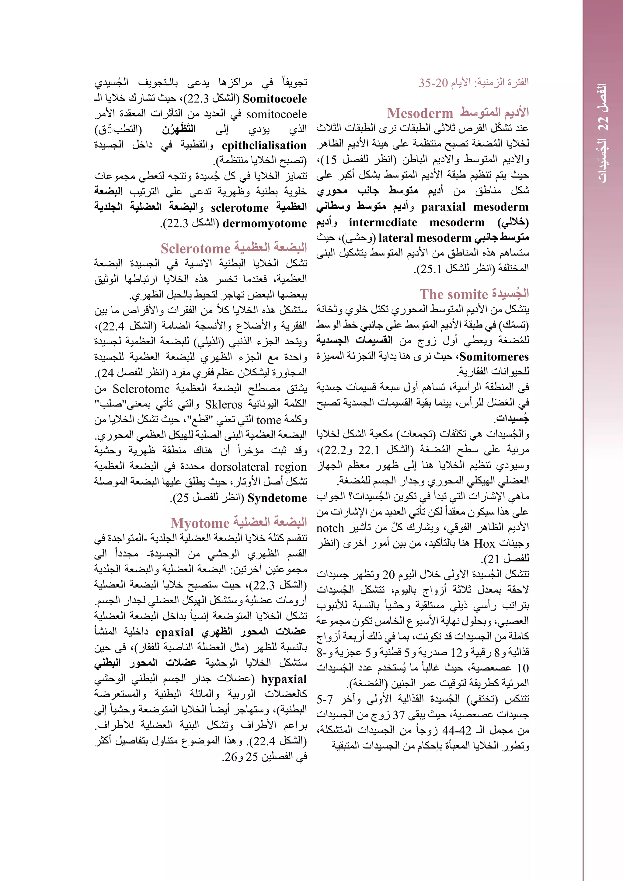‫األيام‬ :‫الزمنية‬ ‫الفترة‬20-35
‫األ‬‫ديم‬‫ال‬‫مت‬‫وسط‬Mesoderm
‫عند‬‫الثالث‬ ‫الطبقات‬ ‫نرى‬ ‫الطبقات‬ ‫ثالثي‬ ‫القرص‬ ‫ل‬ّ‫ك‬‫تش‬
‫على‬ ‫منتظمة‬ ‫تصبح‬ ‫ضغة‬ُ‫م‬‫ال‬ ‫لخاليا‬‫هيئة‬‫األديم‬‫الظاهر‬
‫و‬‫األديم‬‫ال‬‫مت‬‫واأل‬ ‫وسط‬‫ديم‬‫للفصل‬ ‫(انظر‬ ‫الباطن‬15،)
‫طبقة‬ ‫تنظيم‬ ‫يتم‬ ‫حيث‬‫األديم‬‫ال‬‫متوسط‬‫بشكل‬‫أ‬‫على‬ ‫كبر‬
‫من‬ ‫مناطق‬ ‫شكل‬‫أديم‬‫متوسط‬‫محوري‬ ‫جانب‬
paraxial mesoderm‫و‬‫أديم‬‫وسطاني‬ ‫متوسط‬
)‫(خاللي‬intermediate mesoderm‫و‬‫أديم‬
‫متوسط‬‫جانبي‬lateral mesoderm‫(وحشي‬‫حيث‬ ،)
‫من‬ ‫المناطق‬ ‫هذه‬ ‫ستساهم‬‫األديم‬‫ال‬‫متوسط‬‫البنى‬ ‫بتشكيل‬
‫للشكل‬ ‫(انظر‬ ‫المختلفة‬25.1.)
‫سيدة‬ُ‫ج‬‫ال‬The somite
‫وثخانة‬ ‫خلوي‬ ‫تكتل‬ ‫المحوري‬ ‫المتوسط‬ ‫األديم‬ ‫من‬ ‫يتشكل‬
‫الوسط‬ ‫خط‬ ‫جانبي‬ ‫على‬ ‫المتوسط‬ ‫األديم‬ ‫طبقة‬ ‫في‬ )‫ك‬ّ‫م‬‫(تس‬
‫من‬ ‫زوج‬ ‫أول‬ ‫ويعطي‬ ‫ضغة‬ُ‫م‬‫لل‬‫الجسدية‬ ‫القسيمات‬
Somitomeres،‫المميزة‬ ‫التجزئة‬ ‫بداية‬ ‫هنا‬ ‫نرى‬ ‫حيث‬
.‫الفقارية‬ ‫للحيوانات‬
‫جسدية‬ ‫قسيمات‬ ‫سبعة‬ ‫أول‬ ‫تساهم‬ ،‫الرأسية‬ ‫المنطقة‬ ‫في‬
َ‫ع‬‫ال‬ ‫في‬َ‫ض‬‫تصبح‬ ‫الجسدية‬ ‫القسيمات‬ ‫بقية‬ ‫بينما‬ ،‫للرأس‬ ‫ل‬
‫سيدات‬ُ‫ج‬.
‫تكثفات‬ ‫هي‬ ‫سيدات‬ُ‫ج‬‫وال‬)‫(تجمعات‬‫لخاليا‬ ‫الشكل‬ ‫مكعبة‬
‫(الشكل‬ ‫ضغة‬ُ‫م‬‫ال‬ ‫سطح‬ ‫على‬ ‫مرئية‬22.1‫و‬22.2،)
‫ظهور‬ ‫إلى‬ ‫هنا‬ ‫الخاليا‬ ‫تنظيم‬ ‫وسيؤدي‬‫معظم‬‫الجهاز‬
.‫ضغة‬ُ‫م‬‫لل‬ ‫الجسم‬ ‫وجدار‬ ‫المحوري‬ ‫الهيكلي‬ ‫العضلي‬
‫ماهي‬‫الجواب‬ ‫سيدات؟‬ُ‫ج‬‫ال‬ ‫تكوين‬ ‫في‬ ‫تبدأ‬ ‫التي‬ ‫اإلشارات‬
ً‫ا‬‫معقد‬ ‫سيكون‬ ‫هذا‬ ‫على‬‫من‬ ‫اإلشارات‬ ‫من‬ ‫العديد‬ ‫تأتي‬ ‫لكن‬
‫الظاهر‬ ‫األديم‬‫الفوقي‬ٌ‫ل‬‫ك‬ ‫ويشارك‬ ،‫من‬‫تأشير‬notch
‫وجينات‬Hox‫(انظر‬ ‫أخرى‬ ‫أمور‬ ‫بين‬ ‫من‬ ،‫بالتأكيد‬ ‫هنا‬
‫للفصل‬21.)
‫اليوم‬ ‫خالل‬ ‫األولى‬ ‫سيدة‬ُ‫ج‬‫ال‬ ‫تتشكل‬20‫جسيدات‬ ‫وتظهر‬
‫ال‬‫ثالث‬ ‫بمعدل‬ ‫حقة‬‫ة‬‫سيدات‬ُ‫ج‬‫ال‬ ‫تتشكل‬ ،‫باليوم‬ ‫أزواج‬
‫ذ‬ ‫رأسي‬ ‫بتراتب‬‫يل‬‫لألنبوب‬ ‫بالنسبة‬ ً‫ا‬‫وحشي‬ ‫مستلقية‬ ‫ي‬
‫مجموعة‬ ‫تكون‬ ‫الخامس‬ ‫األسبوع‬ ‫نهاية‬ ‫وبحلول‬ ،‫العصبي‬
‫أزواج‬ ‫أربعة‬ ‫ذلك‬ ‫في‬ ‫بما‬ ،‫تكونت‬ ‫قد‬ ‫الجسيدات‬ ‫من‬ ‫كاملة‬
‫و‬ ‫قذالية‬8‫و‬ ‫رقبية‬12‫و‬ ‫صدرية‬5‫و‬ ‫قطنية‬5‫و‬ ‫عجزية‬8-
10‫غ‬ ‫حيث‬ ،‫عصعصية‬‫ما‬ ً‫ا‬‫الب‬ُ‫ي‬‫سيدات‬ُ‫ج‬‫ال‬ ‫عدد‬ ‫ستخدم‬
.)‫ضغة‬ُ‫م‬‫(ال‬ ‫الجنين‬ ‫عمر‬ ‫لتوقيت‬ ‫كطريقة‬ ‫المرئية‬
‫وآخر‬ ‫األولى‬ ‫القذالية‬ ‫سيدة‬ُ‫ج‬‫ال‬ )‫(تختفي‬ ‫تتنكس‬5-7
‫يبقى‬ ‫حيث‬ ،‫عصعصية‬ ‫جسيدات‬37‫الجسيدات‬ ‫من‬ ‫زوج‬
‫ال‬ ‫مجمل‬ ‫من‬‫ـ‬44-42ً‫ا‬‫زوج‬،‫المتشكلة‬ ‫الجسيدات‬ ‫من‬
‫وت‬‫ط‬‫المتبقية‬ ‫الجسيدات‬ ‫من‬ ‫بإحكام‬ ‫المعبأة‬ ‫الخاليا‬ ‫ور‬
‫بال‬ ‫يدعى‬ ‫مراكزها‬ ‫في‬ ً‫ا‬‫تجويف‬‫ـ‬‫سيدي‬ُ‫ج‬‫ال‬ ‫تجويف‬
Somitocoele‫(الشكل‬22.3‫ال‬ ‫خاليا‬ ‫تشارك‬ ‫حيث‬ ،)‫ـ‬
somitocoele‫األمر‬ ‫المعقدة‬ ‫التآثرات‬ ‫من‬ ‫العديد‬ ‫في‬
‫يؤدي‬ ‫الذي‬‫إ‬‫لى‬‫ن‬ُ‫هر‬َ‫ظ‬َ‫ت‬‫ال‬(‫التطب‬ًّ‫ق‬)
epithelialisation‫الجسيدة‬ ‫داخل‬ ‫في‬ ‫والقطبية‬
.)‫منتظمة‬ ‫الخاليا‬ ‫(تصبح‬
ُ‫ج‬ ‫كل‬ ‫في‬ ‫الخاليا‬ ‫تتمايز‬‫مجموعات‬ ‫لتعطي‬ ‫وتتجه‬ ‫سيدة‬
‫الترتيب‬ ‫على‬ ‫تدعى‬ ‫وظهرية‬ ‫بطنية‬ ‫خلوية‬‫البضعة‬
‫العظمية‬sclerotome‫وا‬‫الجلدية‬ ‫العضلية‬ ‫لبضعة‬
dermomyotome‫(الشكل‬22.3.)
‫العظمية‬ ‫البضعة‬Sclerotome
‫تشكل‬‫اإل‬ ‫البطنية‬ ‫الخاليا‬‫البضعة‬ ‫الجسيدة‬ ‫في‬ ‫نسية‬
‫تخسر‬ ‫فعندما‬ ،‫العظمية‬‫هذه‬‫الوثيق‬ ‫ارتباطها‬ ‫الخاليا‬
‫ب‬.‫الظهري‬ ‫بالحبل‬ ‫لتحيط‬ ‫تهاجر‬ ‫البعض‬ ‫بعضها‬
ً‫ال‬‫ك‬ ‫الخاليا‬ ‫هذه‬ ‫ستشكل‬‫واألقراص‬ ‫الفقرات‬ ‫من‬‫بين‬ ‫ما‬
‫الفقرية‬‫(الشكل‬ ‫الضامة‬ ‫واألنسجة‬ ‫واألضالع‬22.4،)
‫لجسيدة‬ ‫العظمية‬ ‫للبضعة‬ )‫(الذيلي‬ ‫الذنبي‬ ‫الجزء‬ ‫ويتحد‬
‫للجسيدة‬ ‫العظمية‬ ‫للبضعة‬ ‫الظهري‬ ‫الجزء‬ ‫مع‬ ‫واحدة‬
‫للفصل‬ ‫(انظر‬ ‫مفرد‬ ‫فقري‬ ‫عظم‬ ‫ليشكالن‬ ‫المجاورة‬24.)
‫العظمية‬ ‫البضعة‬ ‫مصطلح‬ ‫يشتق‬Sclerotome‫من‬
‫اليونانية‬ ‫الكلمة‬Skleros‫بمعنى‬ ‫تأتي‬ ‫والتي‬"‫صل‬‫ب‬"
‫وكلمة‬tome‫"ق‬ ‫تعني‬ ‫التي‬‫تشكل‬ ‫حيث‬ ،"‫طع‬‫ال‬‫من‬ ‫خاليا‬
‫البن‬ ‫العظمية‬ ‫البضعة‬.‫المحوري‬ ‫العظمي‬ ‫للهيكل‬ ‫الصلبة‬ ‫ى‬
‫وحشية‬ ‫ظهرية‬ ‫منطقة‬ ‫هناك‬ ‫أن‬ ً‫ا‬‫مؤخر‬ ‫ثبت‬ ‫وقد‬
dorsolateral region‫العظمية‬ ‫البضعة‬ ‫في‬ ‫محددة‬
‫عليها‬ ‫يطلق‬ ‫حيث‬ ،‫األوتار‬ ‫أصل‬ ‫تشكل‬‫الموصلة‬ ‫البضعة‬
Syndetome‫للفصل‬ ‫(انظر‬25.)
‫العضلية‬ ‫البضعة‬Myotome
‫الجلدية‬ ‫العضلية‬ ‫البضعة‬ ‫خاليا‬ ‫كتلة‬ ‫تنقسم‬-‫في‬ ‫المتواجدة‬
‫الجسيدة‬ ‫من‬ ‫الوحشي‬ ‫الظهري‬ ‫القسم‬-‫الى‬ ً‫ا‬‫مجدد‬
‫مجموعتين‬‫أ‬‫الجلدية‬ ‫والبضعة‬ ‫العضلية‬ ‫البضعة‬ :‫خرتين‬
‫(الشكل‬22.3‫العضلية‬ ‫البضعة‬ ‫خاليا‬ ‫ستصبح‬ ‫حيث‬ ،)
‫الع‬ ‫الهيكل‬ ‫وستشكل‬ ‫عضلية‬ ‫أرومات‬‫ضلي‬.‫الجسم‬ ‫لجدار‬
‫المتوضعة‬ ‫الخاليا‬ ‫تشكل‬‫إ‬‫العضلية‬ ‫البضعة‬ ‫بداخل‬ ً‫ا‬‫نسي‬
‫عضالت‬‫الظهري‬ ‫المحور‬epaxial‫المنشأ‬ ‫داخلية‬
‫للظهر‬ ‫بالنسبة‬(‫للفقار‬ ‫الناصبة‬ ‫العضلة‬ ‫مثل‬)،‫حين‬ ‫في‬
‫الوحشية‬ ‫الخاليا‬ ‫ستشكل‬‫عضالت‬‫البطني‬ ‫المحور‬
hypaxial‫البطني‬ ‫الجسم‬ ‫جدار‬ ‫(عضالت‬‫الو‬‫ح‬‫شي‬
‫كالعضالت‬‫الوربية‬‫والمائلة‬‫البطنية‬‫والمستعرضة‬
)‫البطنية‬‫إلى‬ ً‫ا‬‫وحشي‬ ‫المتوضعة‬ ‫الخاليا‬ ً‫ا‬‫أيض‬ ‫وستهاجر‬ ،
.‫لألطراف‬ ‫العضلية‬ ‫البنية‬ ‫وتشكل‬ ‫األطراف‬ ‫براعم‬
‫(الشكل‬22.4‫أكثر‬ ‫بتفاصيل‬ ‫متناول‬ ‫الموضوع‬ ‫وهذا‬ .)
‫الفصلين‬ ‫في‬25‫و‬26.
‫الفصل‬22‫يدات‬َ‫س‬ُ‫ج‬‫ال‬
59
 
