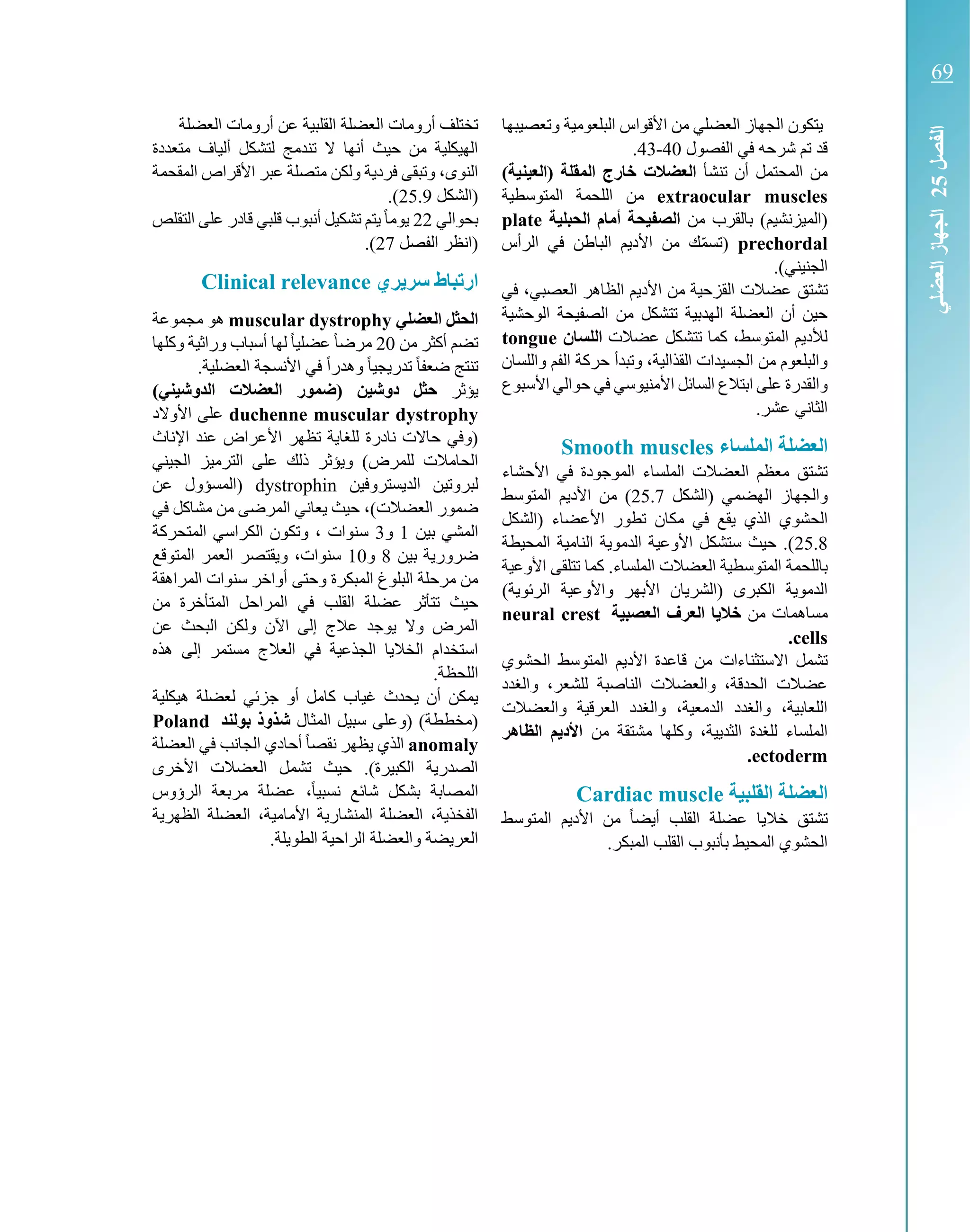 ‫وتعصيبها‬ ‫البلعومية‬ ‫األقواس‬ ‫من‬ ‫العضلي‬ ‫الجهاز‬ ‫يتكون‬
‫الفصول‬ ‫في‬ ‫شرحه‬ ‫تم‬ ‫قد‬40-43.
‫تنشأ‬ ‫أن‬ ‫المحتمل‬ ‫من‬)‫(العينية‬ ‫المقلة‬ ‫خارج‬ ‫العضالت‬
extraocular muscles‫ال‬ ‫من‬‫ا‬ ‫لحمة‬‫لمتوسطية‬
‫من‬ ‫بالقرب‬ )‫(الميزنشيم‬‫الحبلية‬ ‫أمام‬ ‫الصفيحة‬plate
prechordal‫الرأس‬ ‫في‬ ‫الباطن‬ ‫األديم‬ ‫من‬ ‫ك‬ّ‫م‬‫(تس‬
.)‫الجنيني‬
‫تشتق‬‫في‬ ،‫العصبي‬ ‫الظاهر‬ ‫األديم‬ ‫من‬ ‫القزحية‬ ‫عضالت‬
‫الوحشية‬ ‫الصفيحة‬ ‫من‬ ‫تتشكل‬ ‫الهدبية‬ ‫العضلة‬ ‫أن‬ ‫حين‬
‫عضالت‬ ‫تتشكل‬ ‫كما‬ ،‫المتوسط‬ ‫لألديم‬‫اللسان‬tongue
‫واللسان‬ ‫الفم‬ ‫حركة‬ ‫وتبدأ‬ ،‫القذالية‬ ‫الجسيدات‬ ‫من‬ ‫والبلعوم‬
‫األسبوع‬ ‫حوالي‬ ‫في‬ ‫األمنيوسي‬ ‫السائل‬ ‫ابتالع‬ ‫على‬ ‫والقدرة‬
.‫عشر‬ ‫الثاني‬
‫الملساء‬ ‫العضلة‬Smooth muscles
‫األحشاء‬ ‫في‬ ‫الموجودة‬ ‫الملساء‬ ‫العضالت‬ ‫معظم‬ ‫تشتق‬
‫(الشكل‬ ‫الهضمي‬ ‫والجهاز‬25.7‫المتوسط‬ ‫األديم‬ ‫من‬ )
‫الذي‬ ‫الحشوي‬‫(الشكل‬ ‫األعضاء‬ ‫تطور‬ ‫مكان‬ ‫في‬ ‫يقع‬
25.8‫المحيطة‬ ‫النامية‬ ‫الدموية‬ ‫األوعية‬ ‫ستشكل‬ ‫حيث‬ .)
‫الع‬ ‫المتوسطية‬ ‫باللحمة‬‫األوعية‬ ‫تتلقى‬ ‫كما‬ .‫الملساء‬ ‫ضالت‬
‫(ال‬ ‫الكبرى‬ ‫الدموية‬)‫الرئوية‬ ‫واألوعية‬ ‫األبهر‬ ‫شريان‬
‫من‬ ‫مساهمات‬‫العصبية‬ ‫العرف‬ ‫ا‬ ‫خال‬neural crest
cells.
‫ق‬ ‫من‬ ‫االستثناءات‬ ‫تشمل‬‫ا‬ ‫المتوسط‬ ‫األديم‬ ‫اعدة‬‫لحشوي‬
‫والغدد‬ ،‫للشعر‬ ‫الناصبة‬ ‫والعضالت‬ ،‫الحدقة‬ ‫عضالت‬
‫والعضالت‬ ‫العرقية‬ ‫والغدد‬ ،‫الدمعية‬ ‫والغدد‬ ،‫اللعابية‬
‫مش‬ ‫وكلها‬ ،‫الثديية‬ ‫للغدة‬ ‫الملساء‬‫تقة‬‫من‬‫الظاهر‬ ‫م‬ ‫األد‬
ectoderm.
‫القلبية‬ ‫العضلة‬Cardiac muscle
‫المت‬ ‫األديم‬ ‫من‬ ً‫ا‬‫أيض‬ ‫القلب‬ ‫عضلة‬ ‫خاليا‬ ‫تشتق‬‫وسط‬
.‫المبكر‬ ‫القلب‬ ‫بأنبوب‬ ‫المحيط‬ ‫الحشوي‬
‫العضلة‬ ‫أرومات‬ ‫عن‬ ‫القلبية‬ ‫العضلة‬ ‫أرومات‬ ‫تختلف‬
‫متعددة‬ ‫ألياف‬ ‫لتشكل‬ ‫تندمج‬ ‫ال‬ ‫أنها‬ ‫حيث‬ ‫من‬ ‫الهيكلية‬
‫المقحمة‬ ‫األقراص‬ ‫عبر‬ ‫متصلة‬ ‫ولكن‬ ‫فردية‬ ‫وتبقى‬ ،‫النوى‬
‫(الشكل‬25.9.)
‫بحوالي‬22‫ا‬ ‫على‬ ‫قادر‬ ‫قلبي‬ ‫أنبوب‬ ‫تشكيل‬ ‫يتم‬ً‫ا‬‫يوم‬‫لتقلص‬
‫الفصل‬ ‫(انظر‬27.)
‫ري‬ ‫سر‬ ‫ارتباط‬Clinical relevance
‫العضلي‬ ‫ل‬ ‫الح‬muscular dystrophy‫مجموعة‬ ‫هو‬
‫من‬ ‫أكثر‬ ‫تضم‬20‫وكل‬ ‫وراثية‬ ‫أسباب‬ ‫لها‬ ً‫ا‬‫عضلي‬ ً‫ا‬‫مرض‬‫ها‬
.‫العضلية‬ ‫األنسجة‬ ‫في‬ ً‫ا‬‫وهدر‬ ً‫ا‬‫تدريجي‬ ً‫ا‬‫ضعف‬ ‫تنتج‬
‫يؤثر‬)‫الدوةيني‬ ‫العضالت‬ ‫(ضمور‬ ‫دوةين‬ ‫ل‬ ‫ح‬
duchenne muscular dystrophy‫األوالد‬ ‫على‬
‫اإلناث‬ ‫عند‬ ‫األعراض‬ ‫تظهر‬ ‫للغاية‬ ‫نادرة‬ ‫حاالت‬ ‫(وفي‬
‫الجيني‬ ‫الترميز‬ ‫على‬ ‫ذلك‬ ‫ويؤثر‬ )‫للمرض‬ ‫الحامالت‬
‫الديستروفين‬ ‫لبروتين‬dystrophin‫عن‬ ‫(المسؤول‬
‫حيث‬ ،)‫العضالت‬ ‫ضمور‬‫في‬ ‫مشاكل‬ ‫من‬ ‫المرضى‬ ‫يعاني‬
‫بين‬ ‫المشي‬1‫و‬3‫المتحركة‬ ‫الكراسي‬ ‫وتكون‬ ، ‫سنوات‬
‫بين‬ ‫ضرورية‬8‫و‬10‫المتوقع‬ ‫العمر‬ ‫ويقتصر‬ ،‫سنوات‬
‫المراهقة‬ ‫سنوات‬ ‫أواخر‬ ‫وحتى‬ ‫المبكرة‬ ‫البلوغ‬ ‫مرحلة‬ ‫من‬
‫من‬ ‫المتأخرة‬ ‫المراحل‬ ‫في‬ ‫القلب‬ ‫عضلة‬ ‫تتأثر‬ ‫حيث‬
‫عن‬ ‫البحث‬ ‫ولكن‬ ‫اآلن‬ ‫إلى‬ ‫عالج‬ ‫يوجد‬ ‫وال‬ ‫المرض‬
‫هذه‬ ‫إلى‬ ‫مستمر‬ ‫العالج‬ ‫في‬ ‫الجذعية‬ ‫الخاليا‬ ‫استخدام‬
.‫اللحظة‬
‫جزئي‬ ‫أو‬ ‫كامل‬ ‫غياب‬ ‫يحدث‬ ‫أن‬ ‫يمكن‬‫هيكلية‬ ‫لعضلة‬
‫المثال‬ ‫سبيل‬ ‫(وعلى‬ )‫(مخططة‬‫بولند‬ ‫ةذوذ‬Poland
anomaly‫العضلة‬ ‫في‬ ‫الجانب‬ ‫أحادي‬ ً‫ا‬‫نقص‬ ‫يظهر‬ ‫الذي‬
‫األخرى‬ ‫العضالت‬ ‫تشمل‬ ‫حيث‬ .)‫الكبيرة‬ ‫الصدرية‬
‫الرؤوس‬ ‫مربعة‬ ‫عضلة‬ ،ً‫ا‬‫نسبي‬ ‫شائع‬ ‫بشكل‬ ‫المصابة‬
‫الظهرية‬ ‫العضلة‬ ،‫األمامية‬ ‫المنشارية‬ ‫العضلة‬ ،‫الفخذية‬
‫والعضل‬ ‫العريضة‬‫ة‬.‫الطويلة‬ ‫الراحية‬
‫الفصل‬25‫الجهاز‬‫العضلي‬
69
‫الفصل‬25‫ال‬‫الجهاز‬‫عضلي‬
 