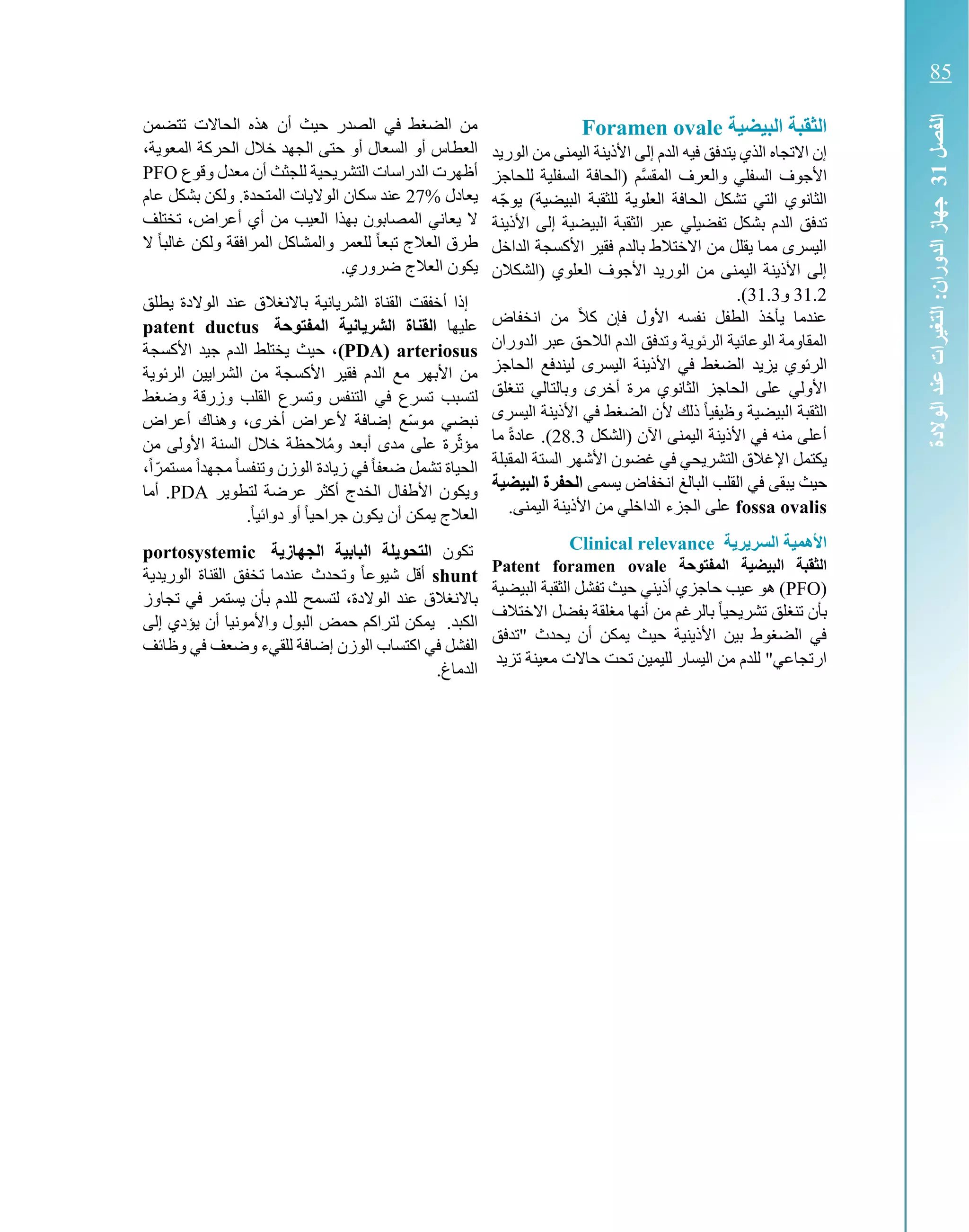 ‫البيضية‬ ‫قبة‬ ‫ال‬Foramen ovale
‫الوريد‬ ‫من‬ ‫اليمنى‬ ‫األذينة‬ ‫إلى‬ ‫الدم‬ ‫فيه‬ ‫يتدفق‬ ‫الذي‬ ‫االتجاه‬ ‫إن‬
‫للحاجز‬ ‫السفلية‬ ‫(الحافة‬ ‫َّم‬‫س‬‫المق‬ ‫والعرف‬ ‫السفلي‬ ‫األجوف‬
‫العلوية‬ ‫الحافة‬ ‫تشكل‬ ‫التي‬ ‫الثانوي‬ّ‫ج‬‫يو‬ )‫البيضية‬ ‫للثقبة‬‫ه‬
‫تدفق‬‫الدم‬‫البيضية‬ ‫الثقبة‬ ‫عبر‬ ‫تفضيلي‬ ‫بشكل‬‫ا‬ ‫إلى‬‫ألذينة‬
‫الداخل‬ ‫األكسجة‬ ‫فقير‬ ‫بالدم‬ ‫االختالط‬ ‫من‬ ‫يقلل‬ ‫مما‬ ‫اليسرى‬
‫(الشكالن‬ ‫العلوي‬ ‫األجوف‬ ‫الوريد‬ ‫من‬ ‫اليمنى‬ ‫األذينة‬ ‫إلى‬
31.2‫و‬31.3.)
‫انخفاض‬ ‫من‬ ً‫ال‬‫ك‬ ‫فإن‬ ‫األول‬ ‫نفسه‬ ‫الطفل‬ ‫يأخذ‬ ‫عندما‬
‫الوعائ‬ ‫المقاومة‬‫الال‬ ‫الدم‬ ‫وتدفق‬ ‫الرئوية‬ ‫ية‬‫الدوران‬ ‫عبر‬ ‫حق‬
‫يزيد‬ ‫الرئوي‬‫اليسرى‬ ‫األذينة‬ ‫في‬ ‫الضغط‬‫ل‬‫الحاجز‬ ‫يندفع‬
‫تنغلق‬ ‫وبالتالي‬ ‫أخرى‬ ‫مرة‬ ‫الثانوي‬ ‫الحاجز‬ ‫على‬ ‫األولي‬
‫اليسرى‬ ‫األذينة‬ ‫في‬ ‫الضغط‬ ‫ألن‬ ‫ذلك‬ ً‫ا‬‫وظيفي‬ ‫البيضية‬ ‫الثقبة‬
‫(الشكل‬ ‫اآلن‬ ‫اليمنى‬ ‫األذينة‬ ‫في‬ ‫منه‬ ‫أعلى‬28.3.)‫ما‬ ً‫ة‬‫عاد‬
‫يكتمل‬‫غضون‬ ‫في‬ ‫التشريحي‬ ‫اإلغالق‬‫المقبلة‬ ‫الستة‬ ‫األشهر‬
‫ي‬ ‫حيث‬‫يسمى‬ ‫انخفاض‬ ‫البالغ‬ ‫القلب‬ ‫في‬ ‫بقى‬‫البيضية‬ ‫الحفرة‬
fossa ovalis.‫اليمنى‬ ‫األذينة‬ ‫من‬ ‫الداخلي‬ ‫الجزء‬ ‫على‬
‫ة‬ ‫ر‬ ‫السر‬ ‫األهمية‬Clinical relevance
‫المفتوحة‬ ‫البيضية‬ ‫قبة‬ ‫ال‬Patent foramen ovale
(PFO‫البيضية‬ ‫الثقبة‬ ‫تفشل‬ ‫حيث‬ ‫أذيني‬ ‫حاجزي‬ ‫عيب‬ ‫هو‬ )
‫بأ‬‫االخ‬ ‫بفضل‬ ‫مغلقة‬ ‫أنها‬ ‫من‬ ‫بالرغم‬ ً‫ا‬‫تشريحي‬ ‫تنغلق‬ ‫ن‬‫تالف‬
‫"تدفق‬ ‫يحدث‬ ‫أن‬ ‫يمكن‬ ‫حيث‬ ‫األذينية‬ ‫بين‬ ‫الضغوط‬ ‫في‬
‫تزيد‬ ‫معينة‬ ‫حاالت‬ ‫تحت‬ ‫لليمين‬ ‫اليسار‬ ‫من‬ ‫للدم‬ "‫ارتجاعي‬
‫تتضمن‬ ‫الحاالت‬ ‫هذه‬ ‫أن‬ ‫حيث‬ ‫الصدر‬ ‫في‬ ‫الضغط‬ ‫من‬
‫العط‬،‫المعوية‬ ‫الحركة‬ ‫خالل‬ ‫الجهد‬ ‫حتى‬ ‫أو‬ ‫السعال‬ ‫أو‬ ‫اس‬
‫للجثث‬ ‫التشريحية‬ ‫الدراسات‬ ‫أظهرت‬‫أن‬‫وقوع‬ ‫معدل‬PFO
‫يعادل‬27%‫المتحدة‬ ‫الواليات‬ ‫سكان‬ ‫عند‬.‫عام‬ ‫بشكل‬ ‫ولكن‬
‫تختلف‬ ،‫أعراض‬ ‫أي‬ ‫من‬ ‫العيب‬ ‫بهذا‬ ‫المصابون‬ ‫يعاني‬ ‫ال‬
‫ال‬ ً‫ا‬‫غالب‬ ‫ولكن‬ ‫المرافقة‬ ‫والمشاكل‬ ‫للعمر‬ ً‫ا‬‫تبع‬ ‫العالج‬ ‫طرق‬
‫ا‬ ‫يكون‬.‫ضروري‬ ‫لعالج‬
‫باالن‬ ‫الشريانية‬ ‫القناة‬ ‫أخفقت‬ ‫إذا‬‫يطلق‬ ‫الوالدة‬ ‫عند‬ ‫غالق‬
‫عليها‬‫المفتوحة‬ ‫انية‬ ‫الشر‬ ‫القناة‬patent ductus
arteriosus(PDA)‫األكسجة‬ ‫جيد‬ ‫الدم‬ ‫يختلط‬ ‫حيث‬ ،
‫الرئوية‬ ‫الشرايين‬ ‫من‬ ‫األكسجة‬ ‫فقير‬ ‫الدم‬ ‫مع‬ ‫األبهر‬ ‫من‬
‫لتسبب‬‫تسرع‬‫في‬‫وضغط‬ ‫وزرقة‬ ‫القلب‬ ‫وتسرع‬ ‫التنفس‬
‫ن‬‫أخرى‬ ‫ألعراض‬ ‫إضافة‬ ‫ّع‬‫س‬‫مو‬ ‫بضي‬‫أعراض‬ ‫وهناك‬ ،
‫رة‬ّ‫ث‬‫مؤ‬‫الح‬ُ‫م‬‫و‬ ‫أبعد‬ ‫مدى‬ ‫على‬‫من‬ ‫األولى‬ ‫السنة‬ ‫خالل‬ ‫ظة‬
‫تشمل‬ ‫الحياة‬ً‫ا‬‫وتنفس‬ ‫الوزن‬ ‫زيادة‬ ‫في‬ ً‫ا‬‫ضعف‬ً‫ا‬‫مجهد‬ً‫ا‬ّ‫مستمر‬،
‫لتطوير‬ ‫عرضة‬ ‫أكثر‬ ‫الخدج‬ ‫األطفال‬ ‫ويكون‬PDA.‫أما‬
‫يكون‬ ‫أن‬ ‫يمكن‬ ‫العالج‬ً‫ا‬‫جراحي‬‫أو‬ً‫ا‬‫دوائي‬.
‫تكون‬‫ة‬ ‫الجهاز‬ ‫البابية‬ ‫لة‬ ‫التحو‬portosystemic
shunt‫وتحدث‬ ً‫ا‬‫شيوع‬ ‫أقل‬‫القن‬ ‫تخفق‬ ‫عندما‬‫اة‬‫الوريدية‬
‫الوالدة‬ ‫عند‬ ‫باالنغالق‬،‫تجاوز‬ ‫في‬ ‫يستمر‬ ‫بأن‬ ‫للدم‬ ‫لتسمح‬
‫الكبد‬.‫إلى‬ ‫يؤدي‬ ‫أن‬ ‫واألمونيا‬ ‫البول‬ ‫حمض‬ ‫لتراكم‬ ‫يمكن‬
‫وضعف‬ ‫للقيء‬ ‫إضافة‬ ‫الوزن‬ ‫اكتساب‬ ‫في‬ ‫الفشل‬‫في‬‫وظائف‬
.‫الدماغ‬
‫الفصل‬31‫الوالدة‬‫عند‬‫التغيرات‬:‫الدوران‬‫جهاز‬
85
 
